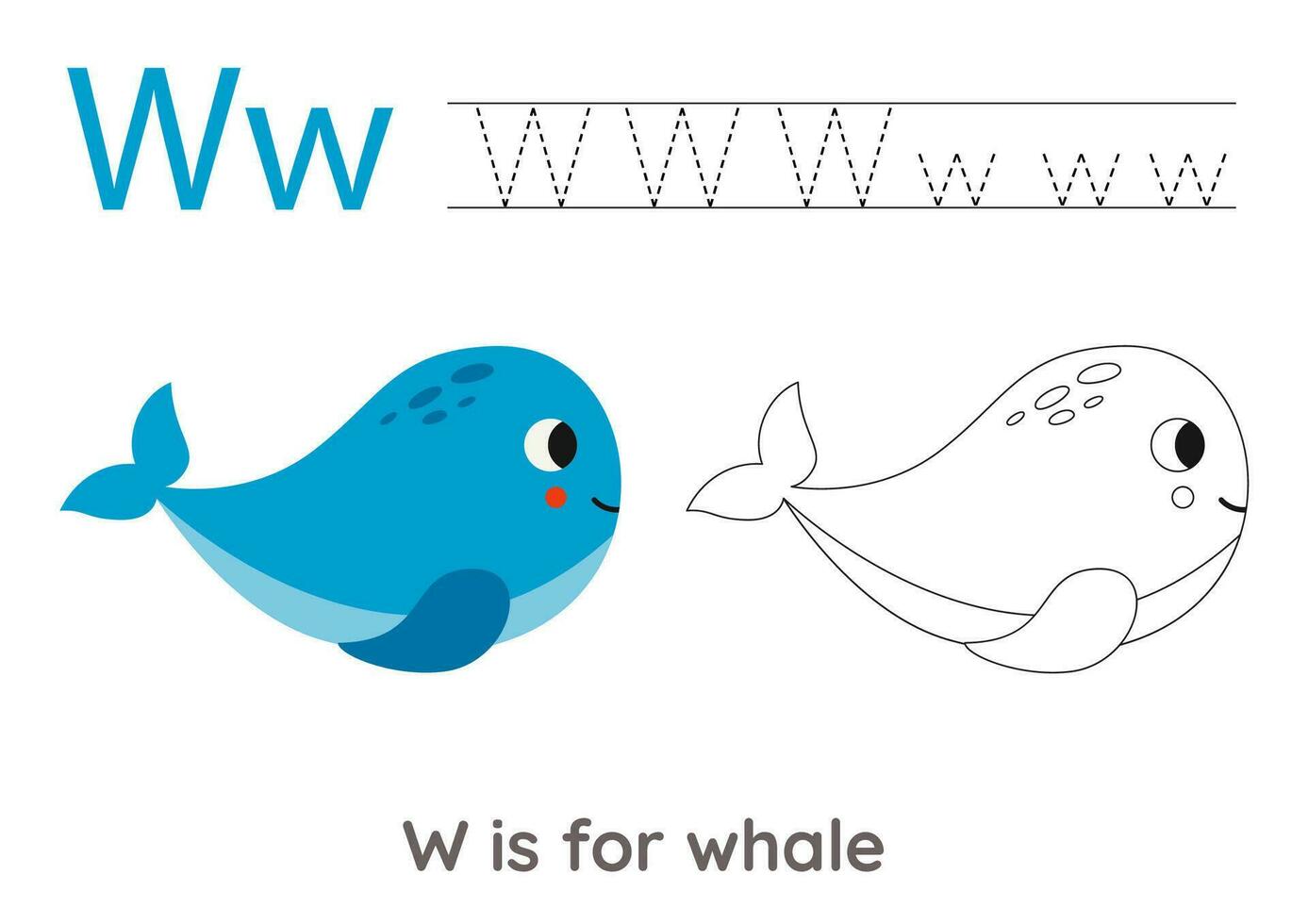 Tracing alphabet letters with cute animals. Color cute whale. Trace letter W. vector