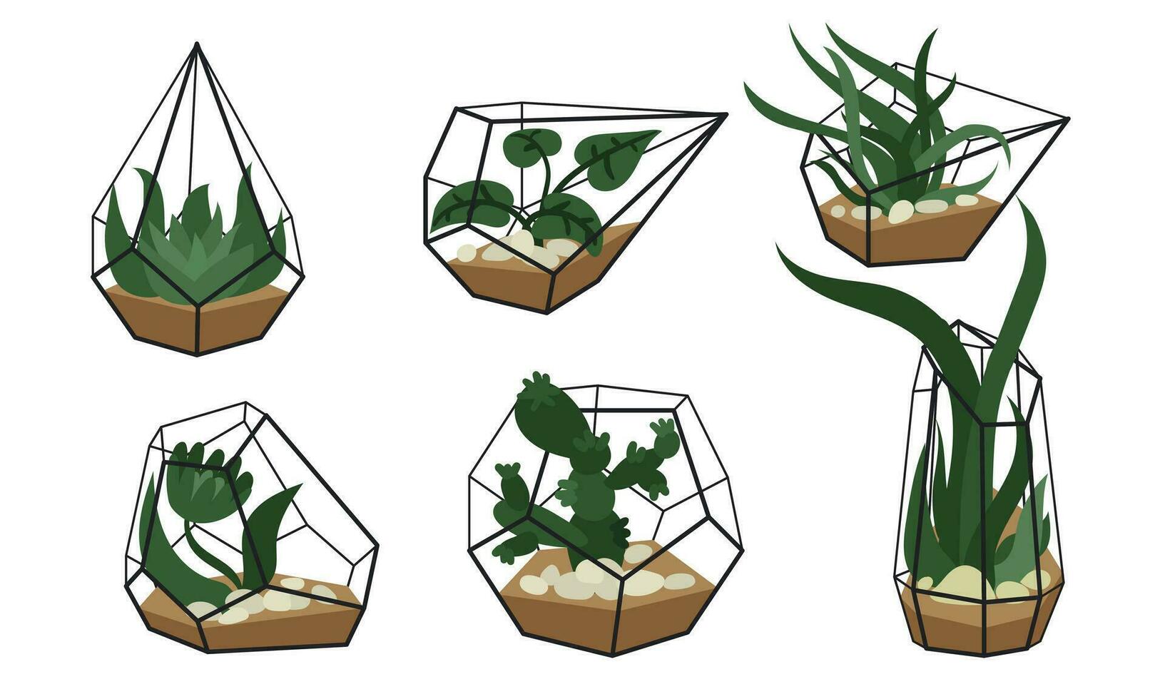 A set of beautiful florarium in cartoon style. Vector illustration of a glass florarium of various geometric shapes with succulents and cacti, aloe vera, stones highlighted on a white background