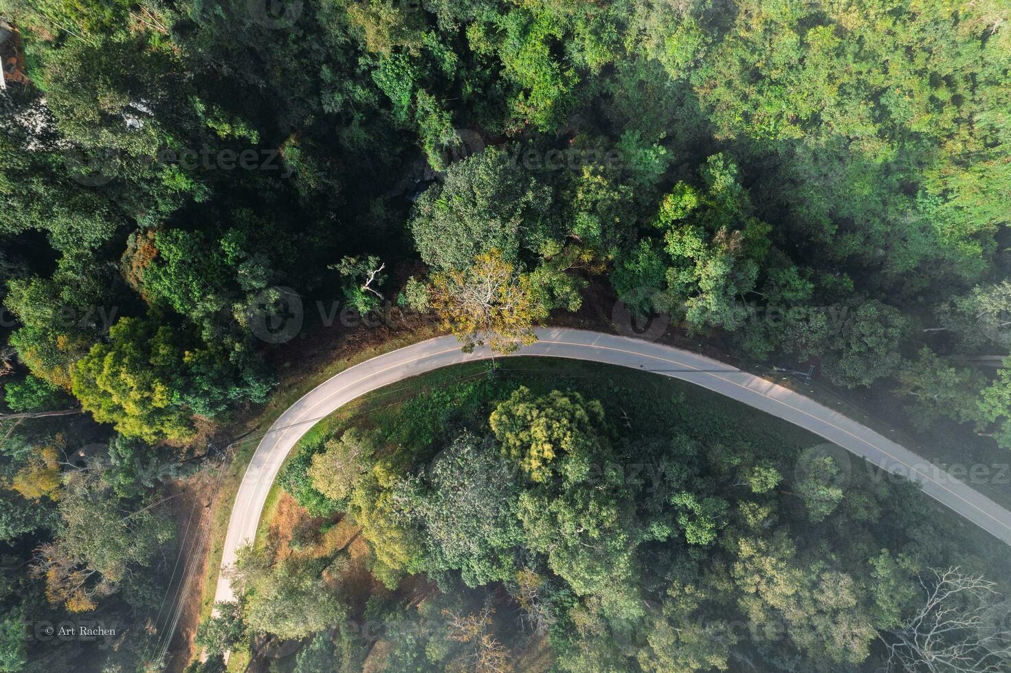 bosque la carretera y Mañana niebla, alto ángulo foto