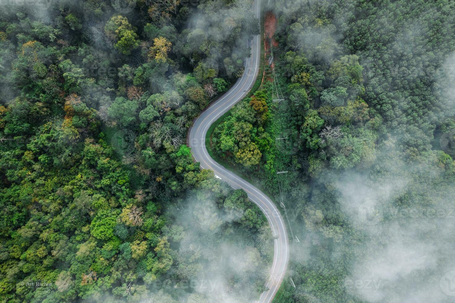 Forest road and morning fog, high angle photo