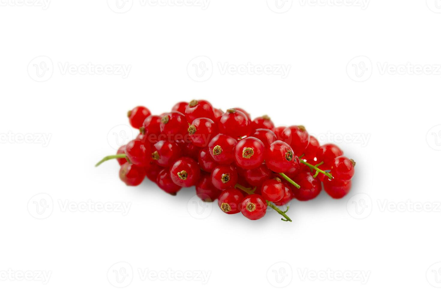 Red ripe currants isolated on a white background. Ripe berries. photo