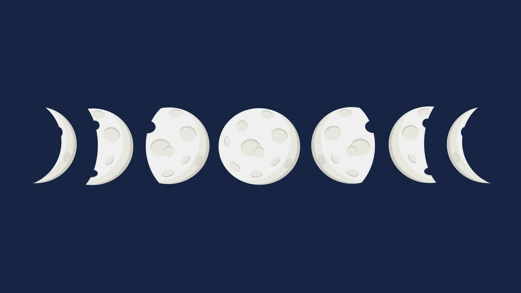 Moon phases vector cartoon