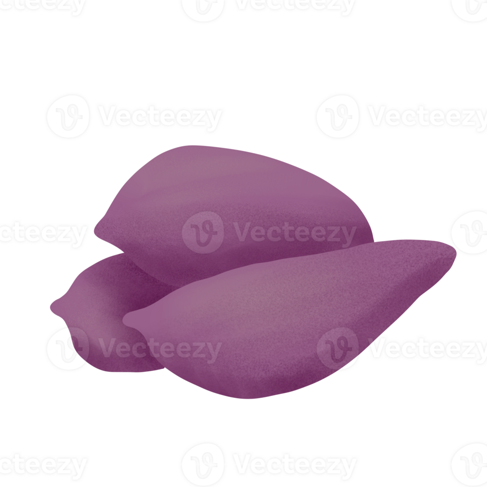 sweet potato illustration on png transparant background