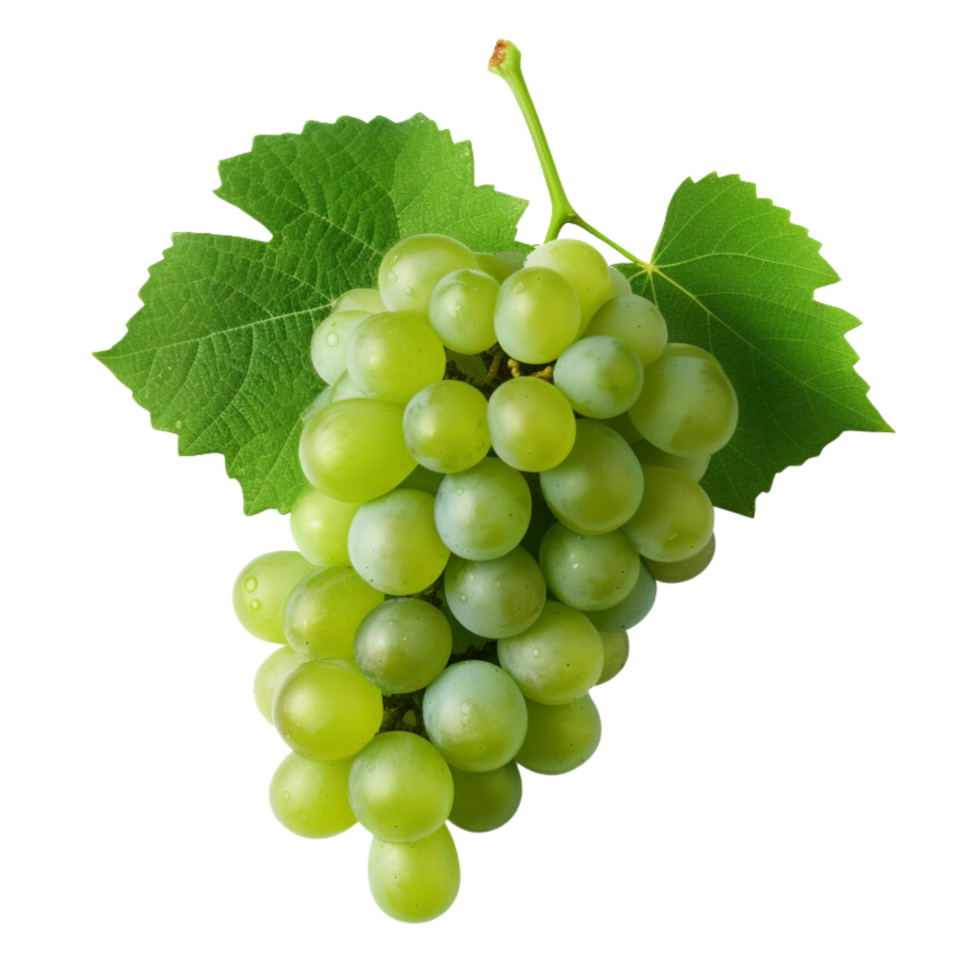AI generated Grapes with leaves clip art png