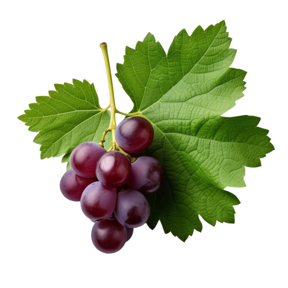 AI generated Grapes with leaves clip art png