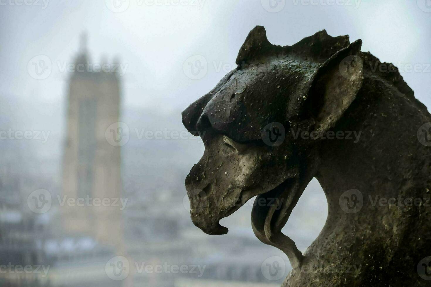 a statue of a gargoyle on a building in paris photo