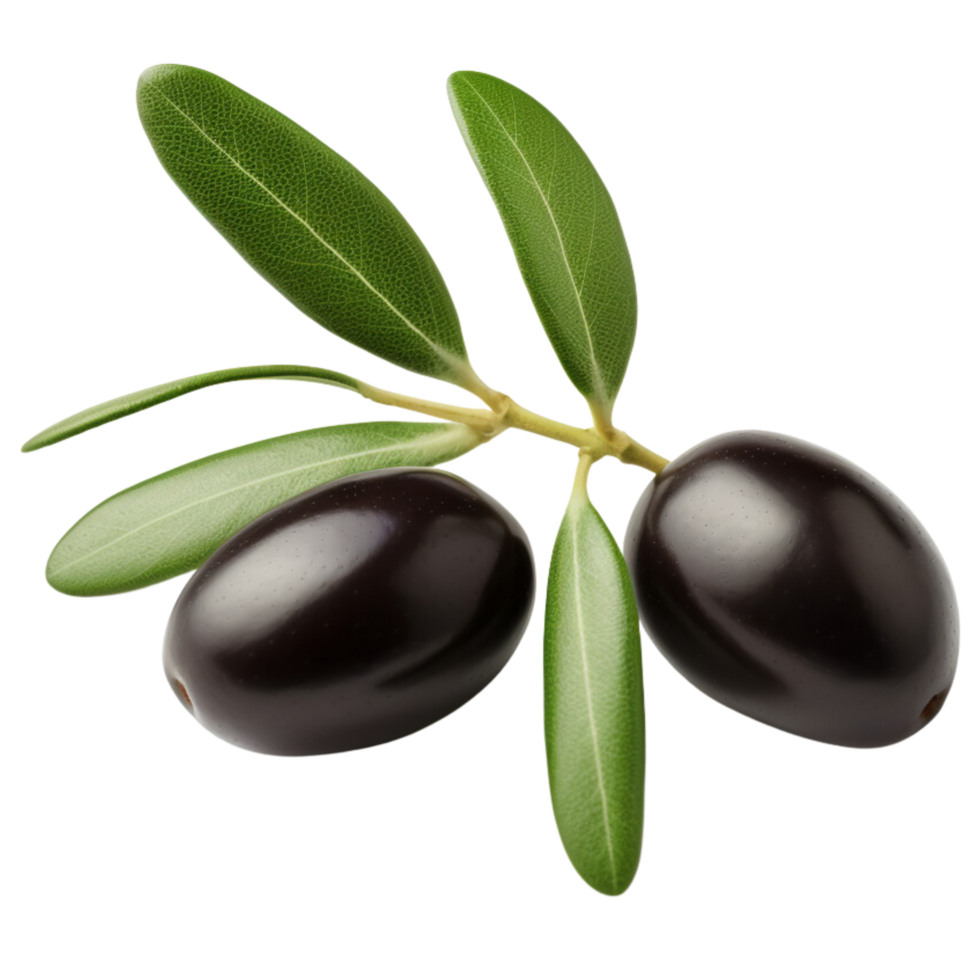 AI generated Olives with leaves clip art png
