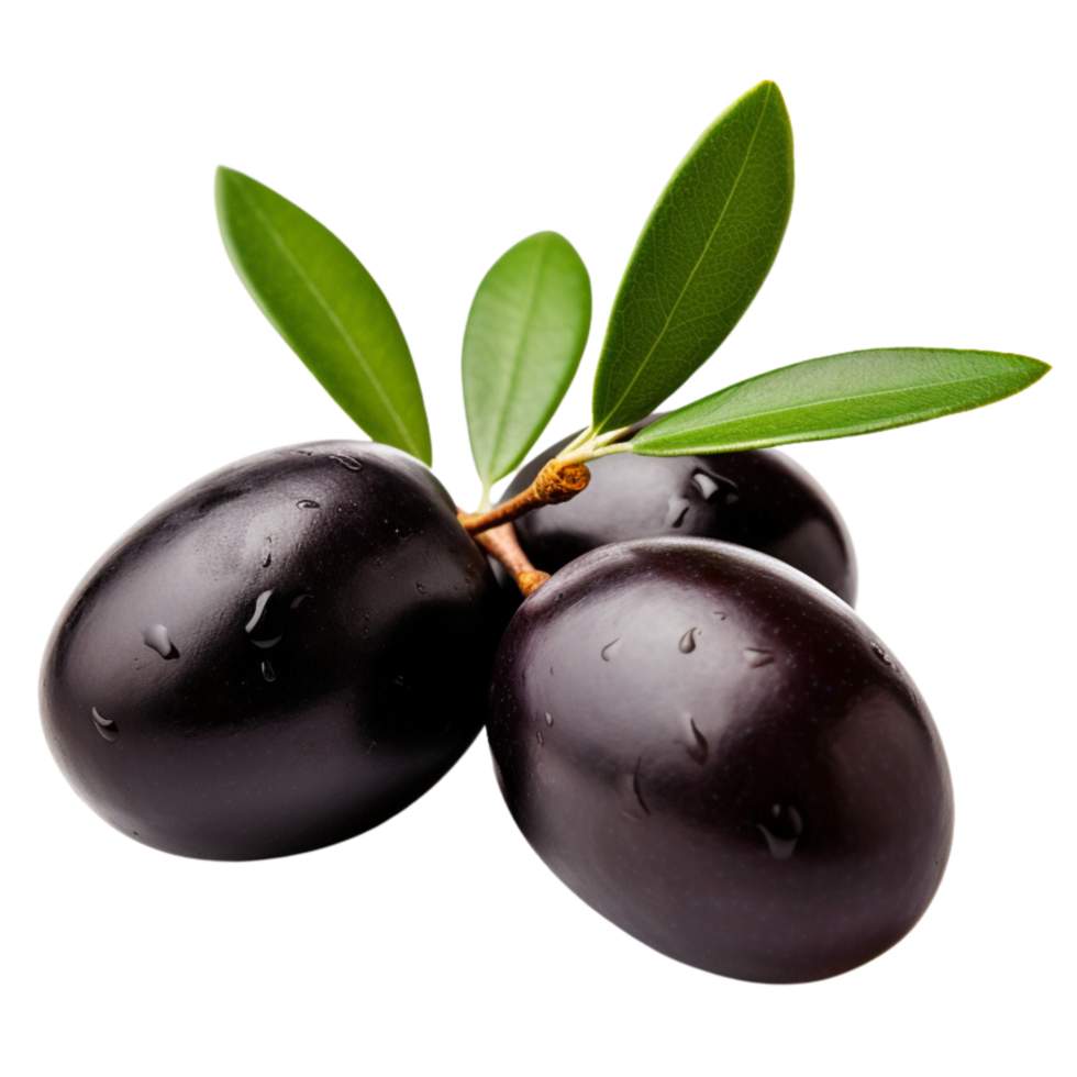 AI generated Olives with leaves clip art png