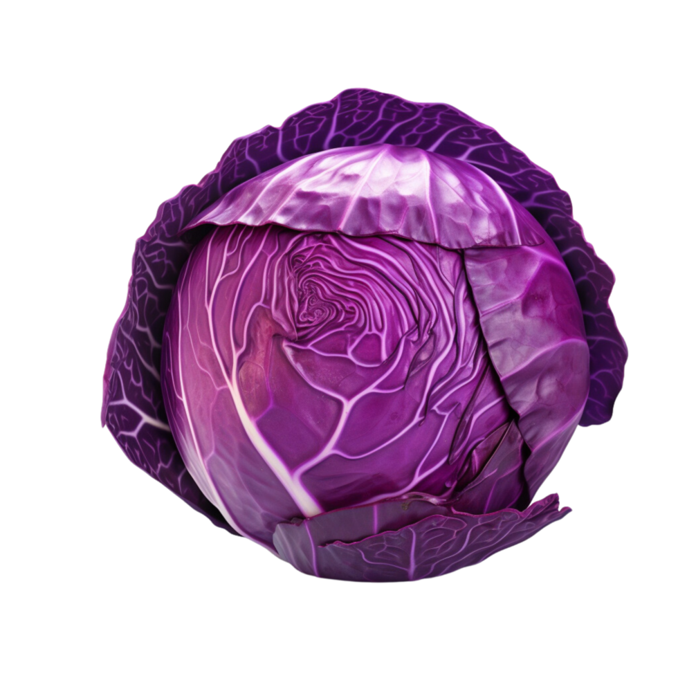 AI generated Red cabbage clip art 34924371 PNG