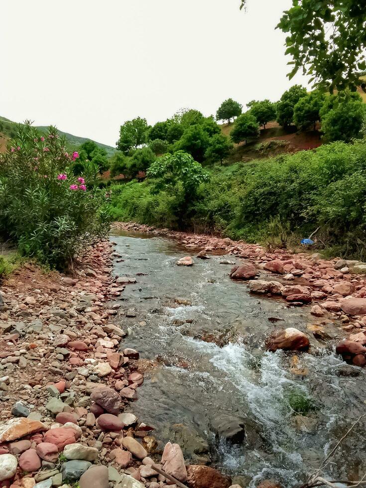 Small valley stream with beautiful rocks photo