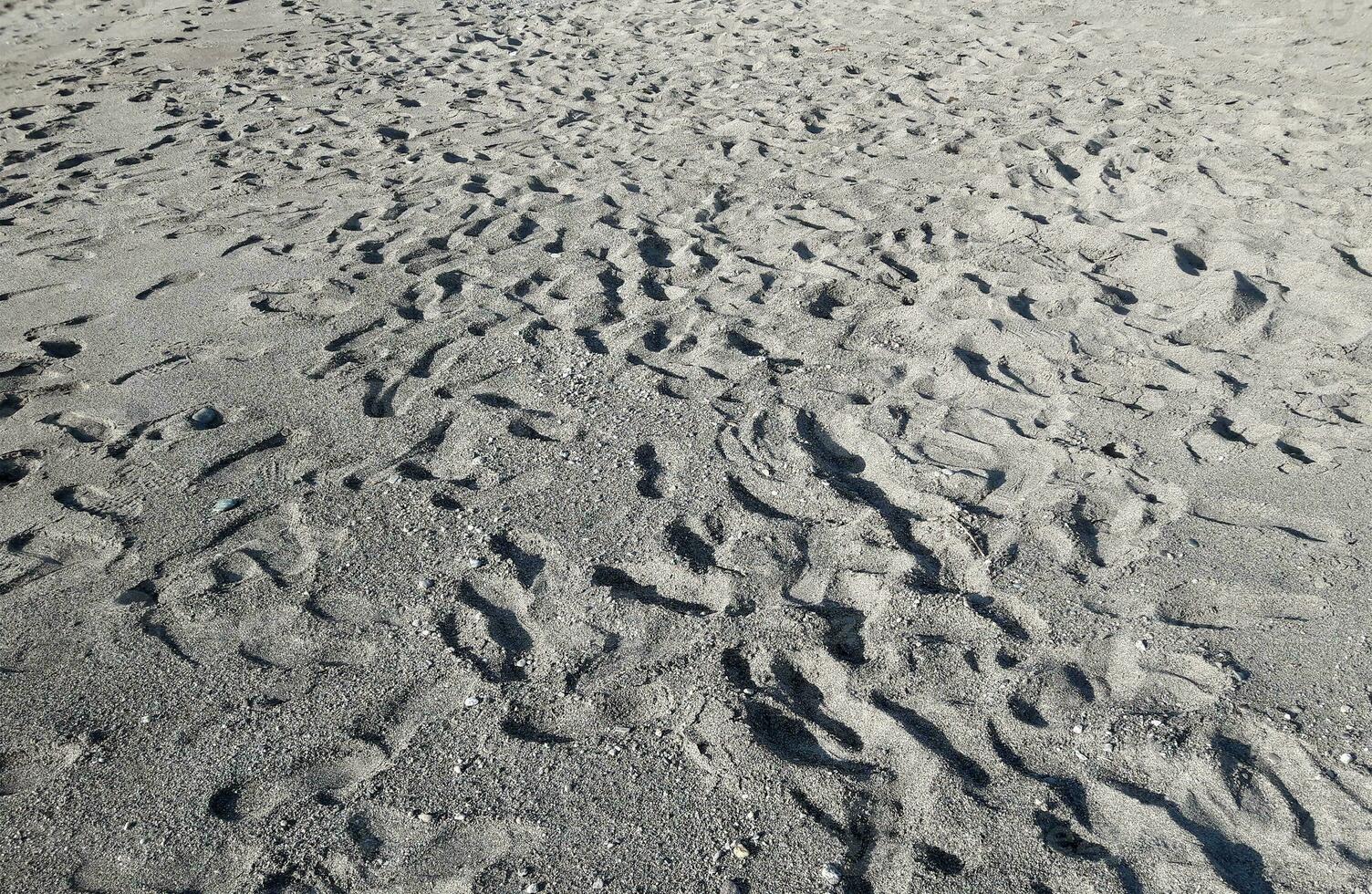 Many footsteps on a sandy beach photo