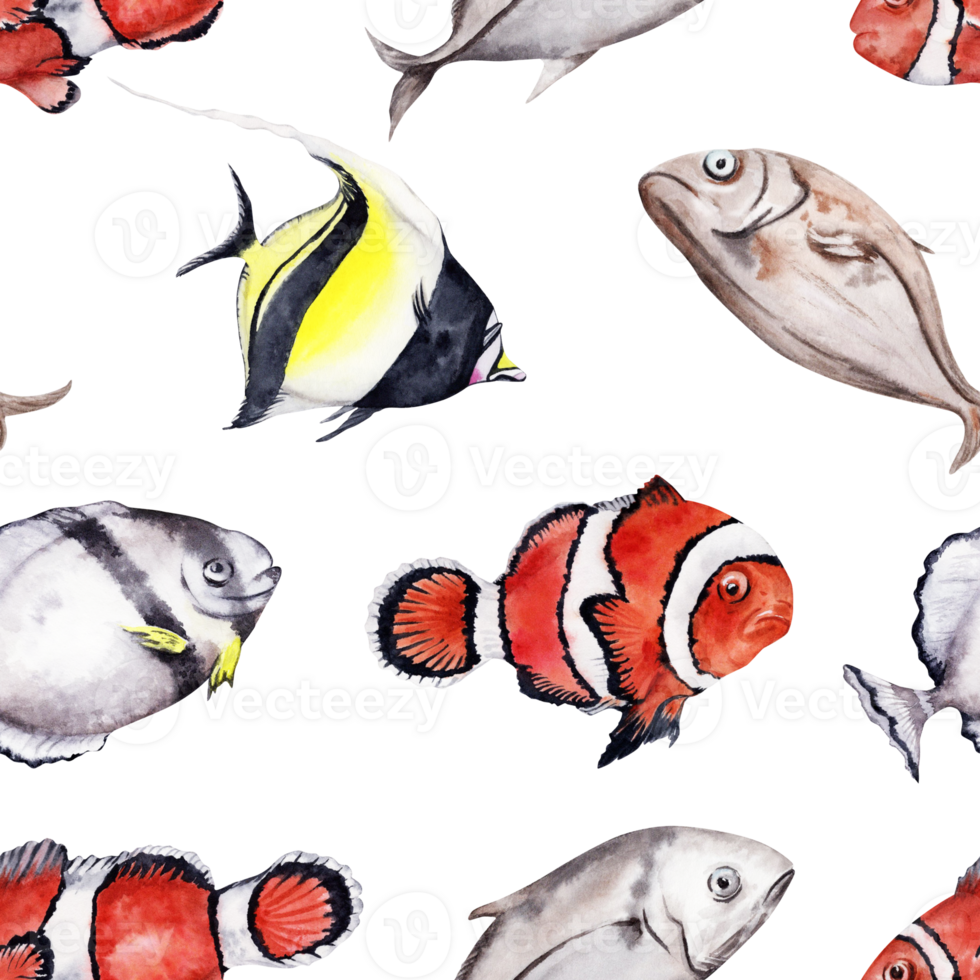 Tropical coral reef fishes seamless pattern. Hand drawn watercolor illustration isolated on transparent background. Clown fish, idol fish. For printing, textile, fabric, wrapping paper design. png