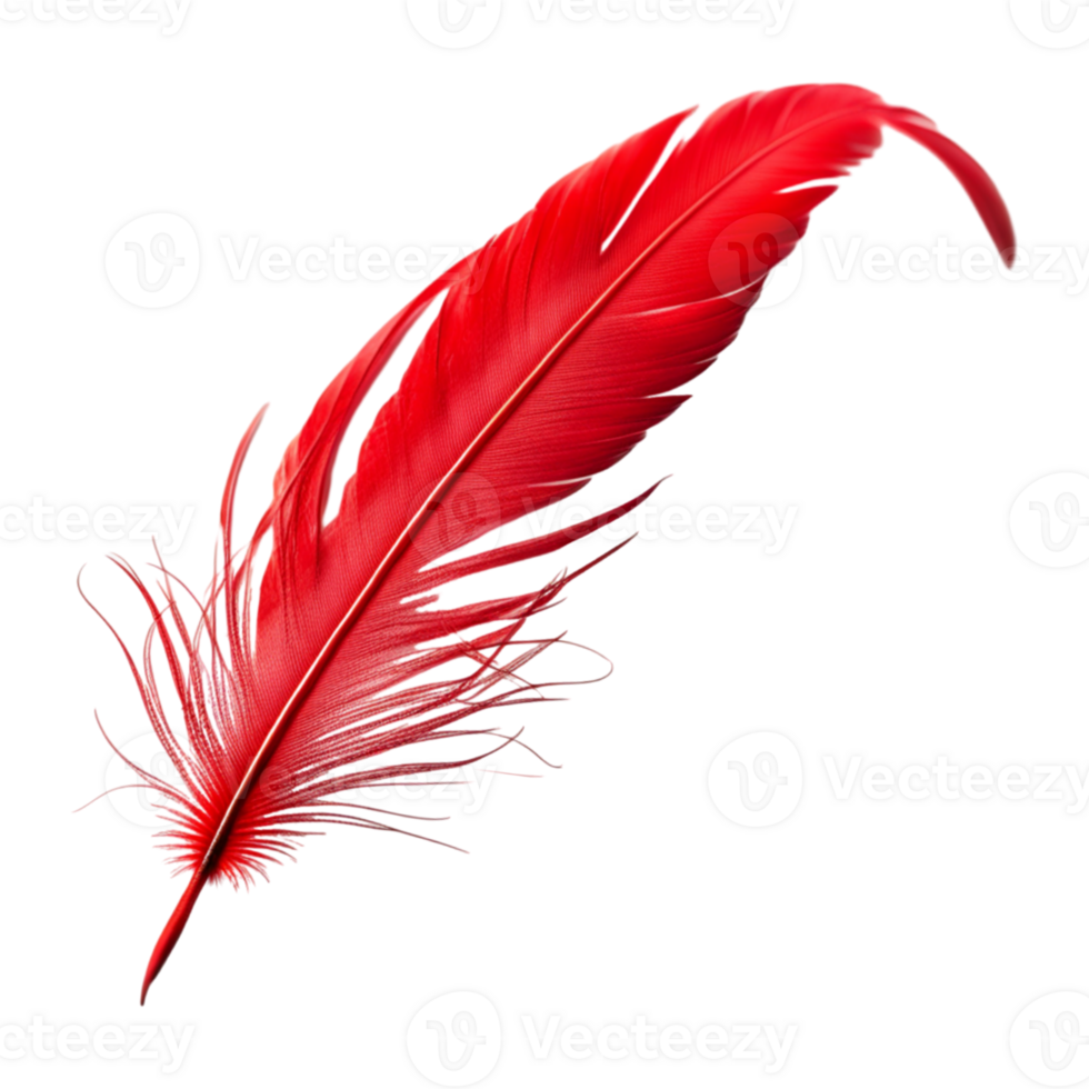 AI generated Red Feather Isolated on Transparent Background png