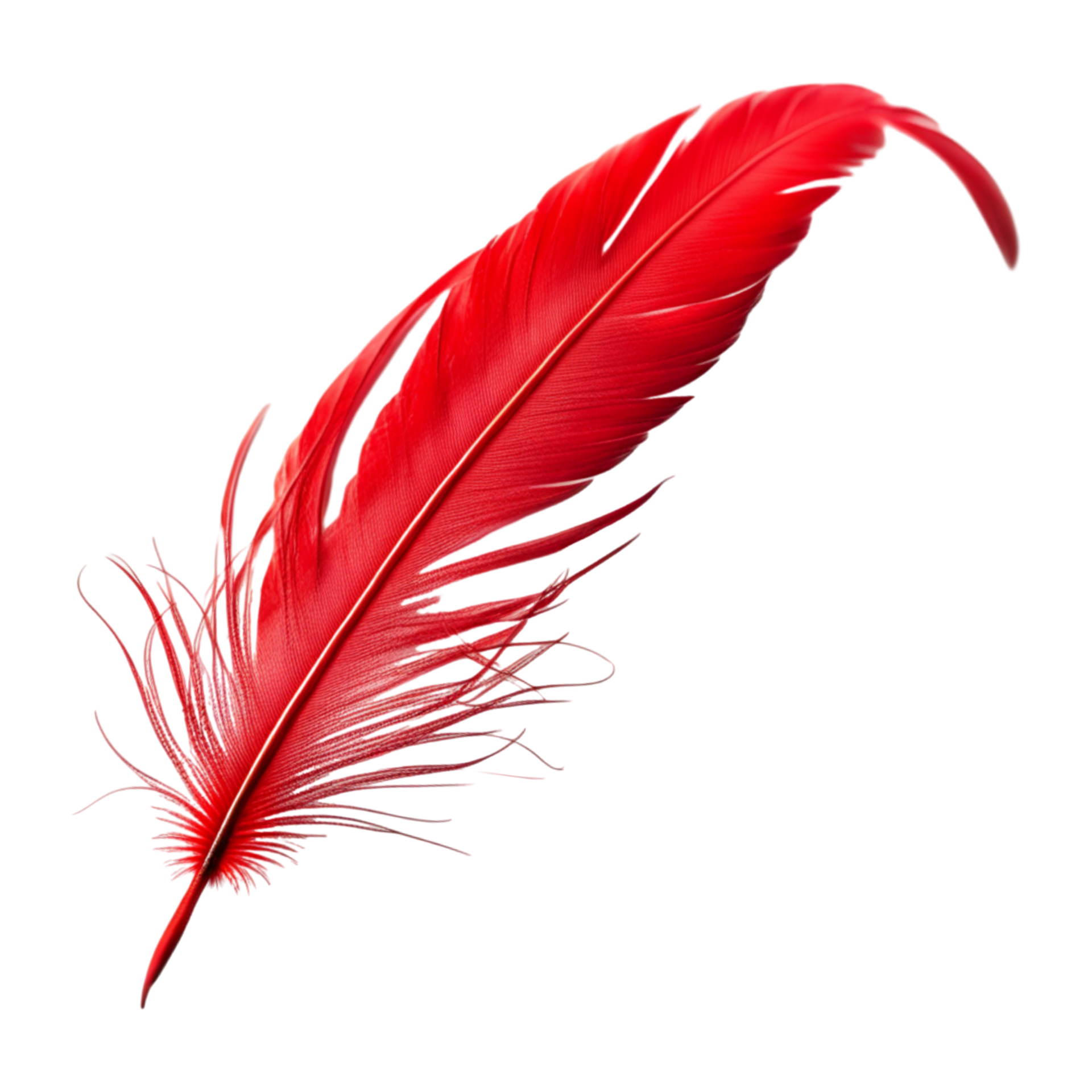 AI generated Red Feather Isolated on Transparent Background 34926632 PNG