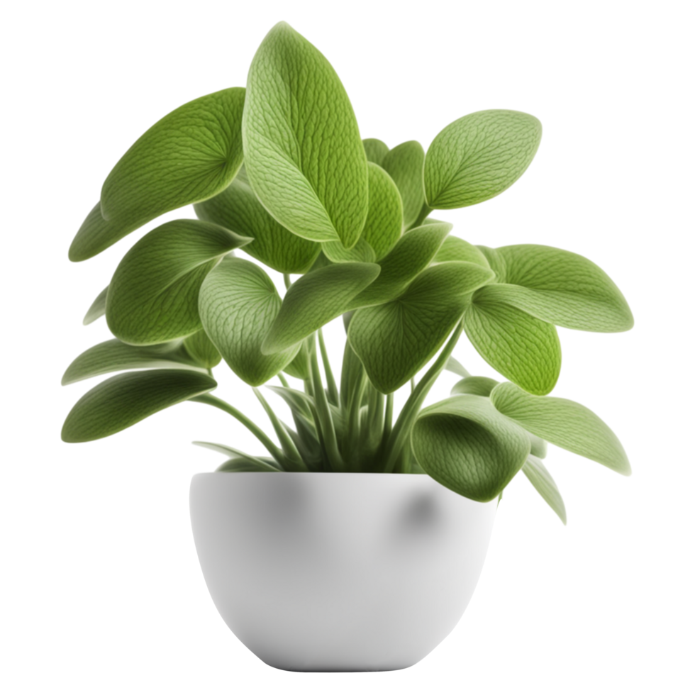 AI generated Green Potted Plant Isolated on Transparent Background png