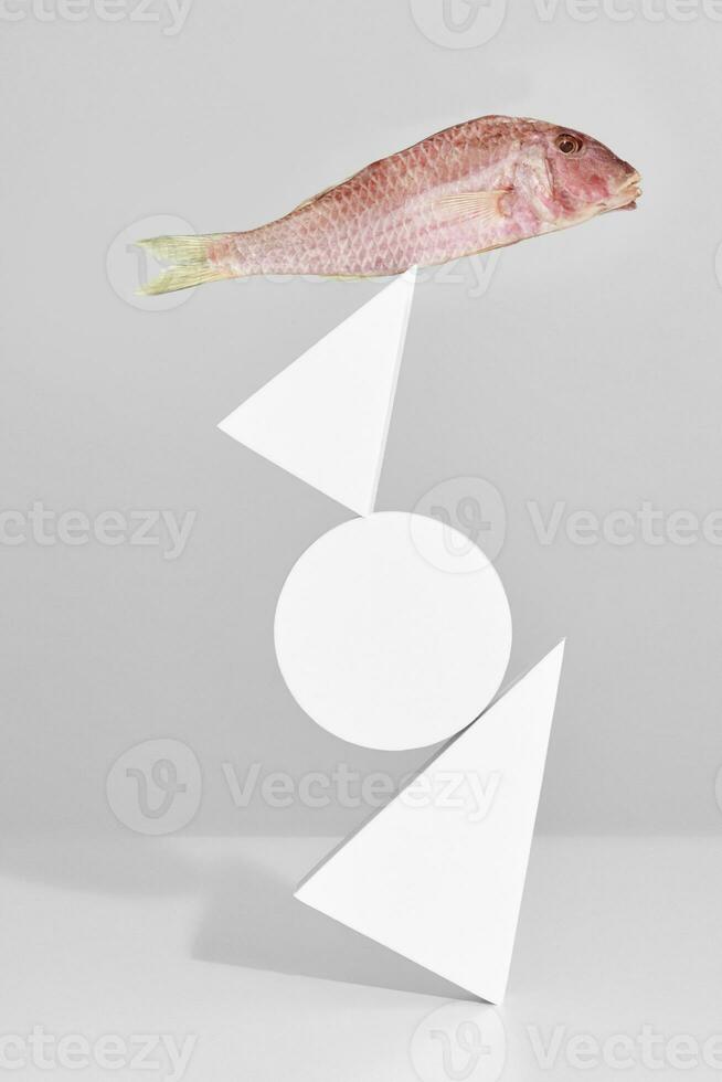 Air-dried red mullet on top of tower of geometric shapes photo