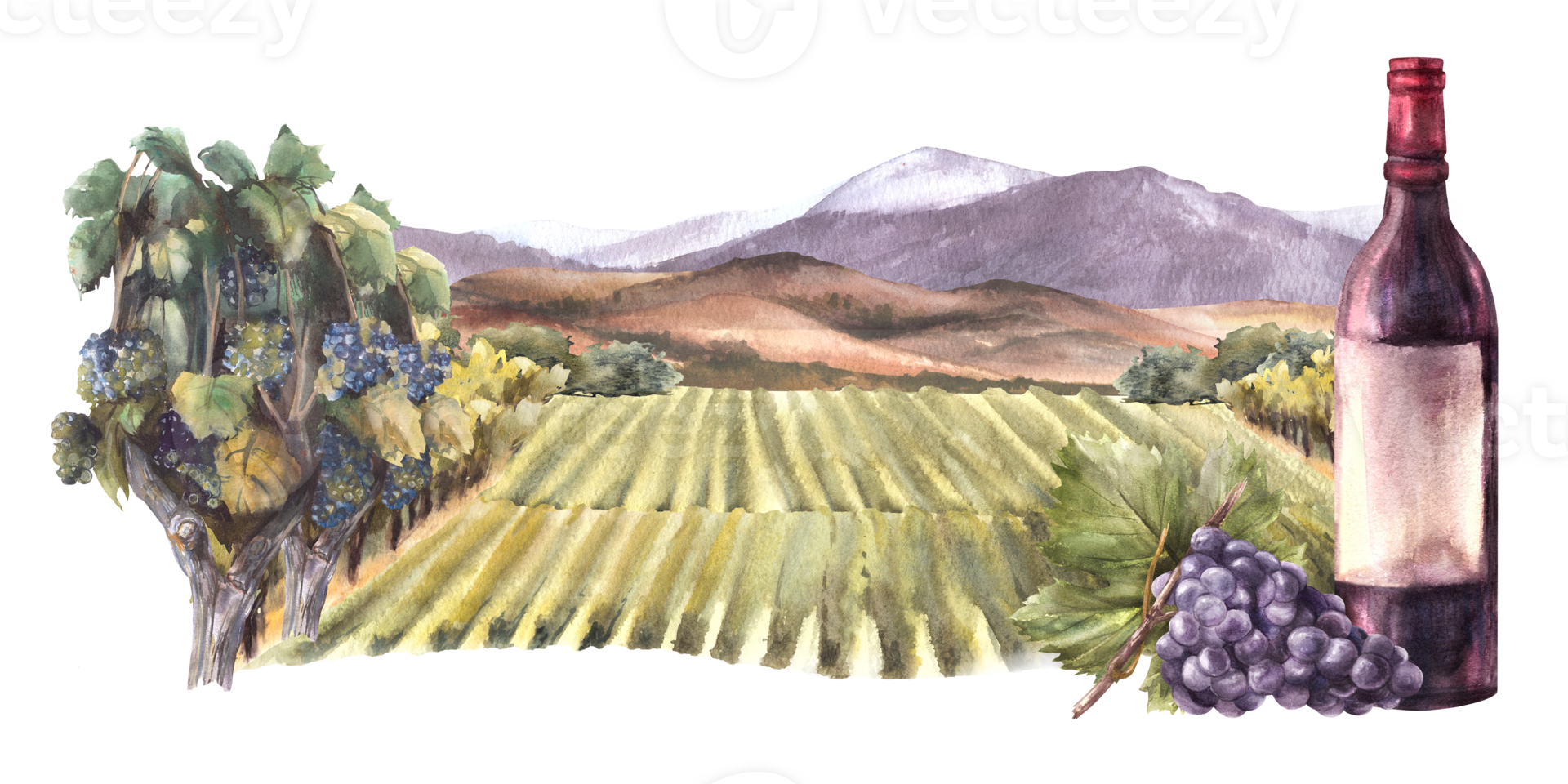 Watercolor wine label. Bottle of red wine with bunch of grapes in front of vineyards, rural landscape with fields, hills and mountains. Winemaking. Hand draw illustration png