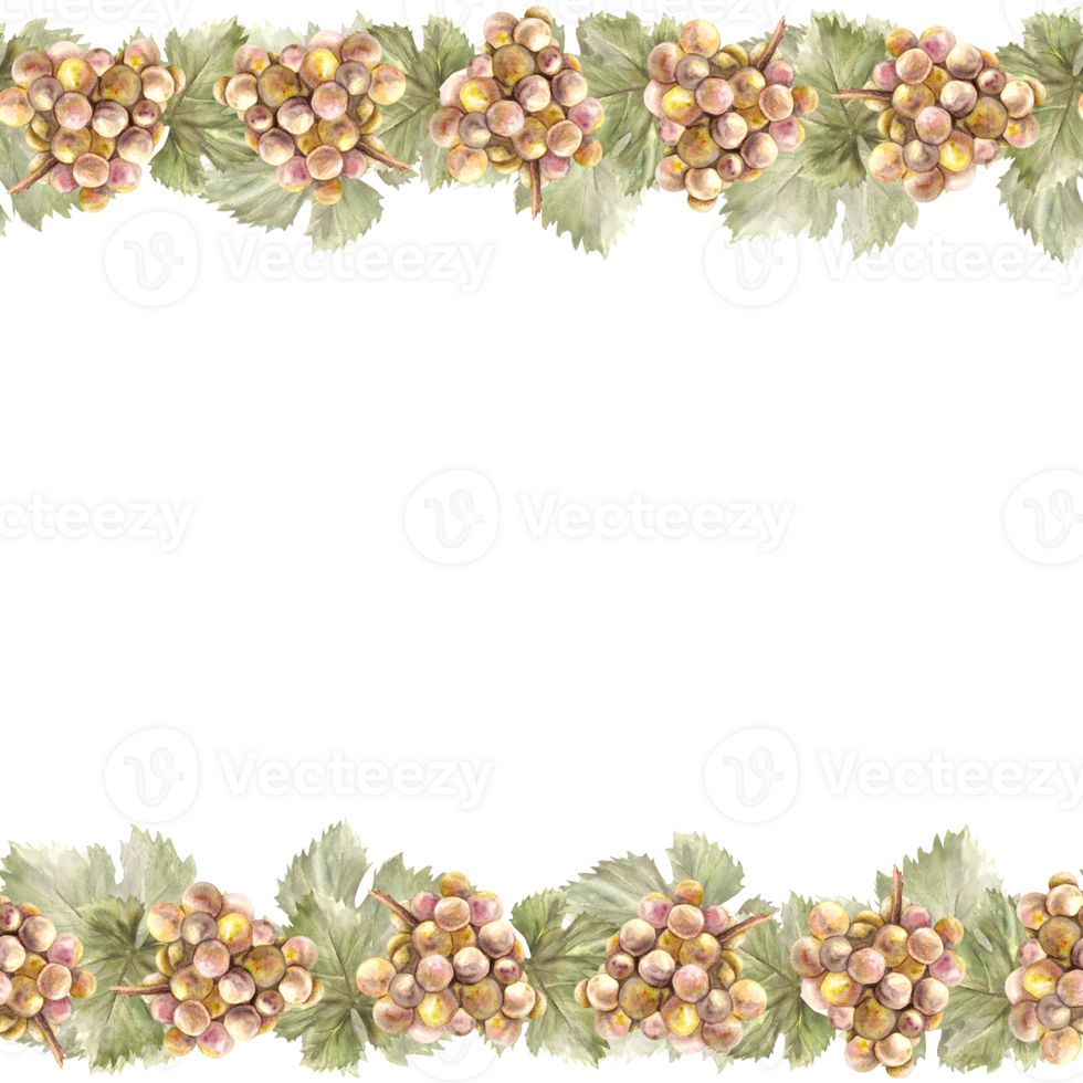 aguarela desatado fronteira quadro. grupo do verde amarelo uvas, folhas e uva baga. videira mão pintado. invólucro papel, rótulos, cartão imprimir. botânico ilustração png