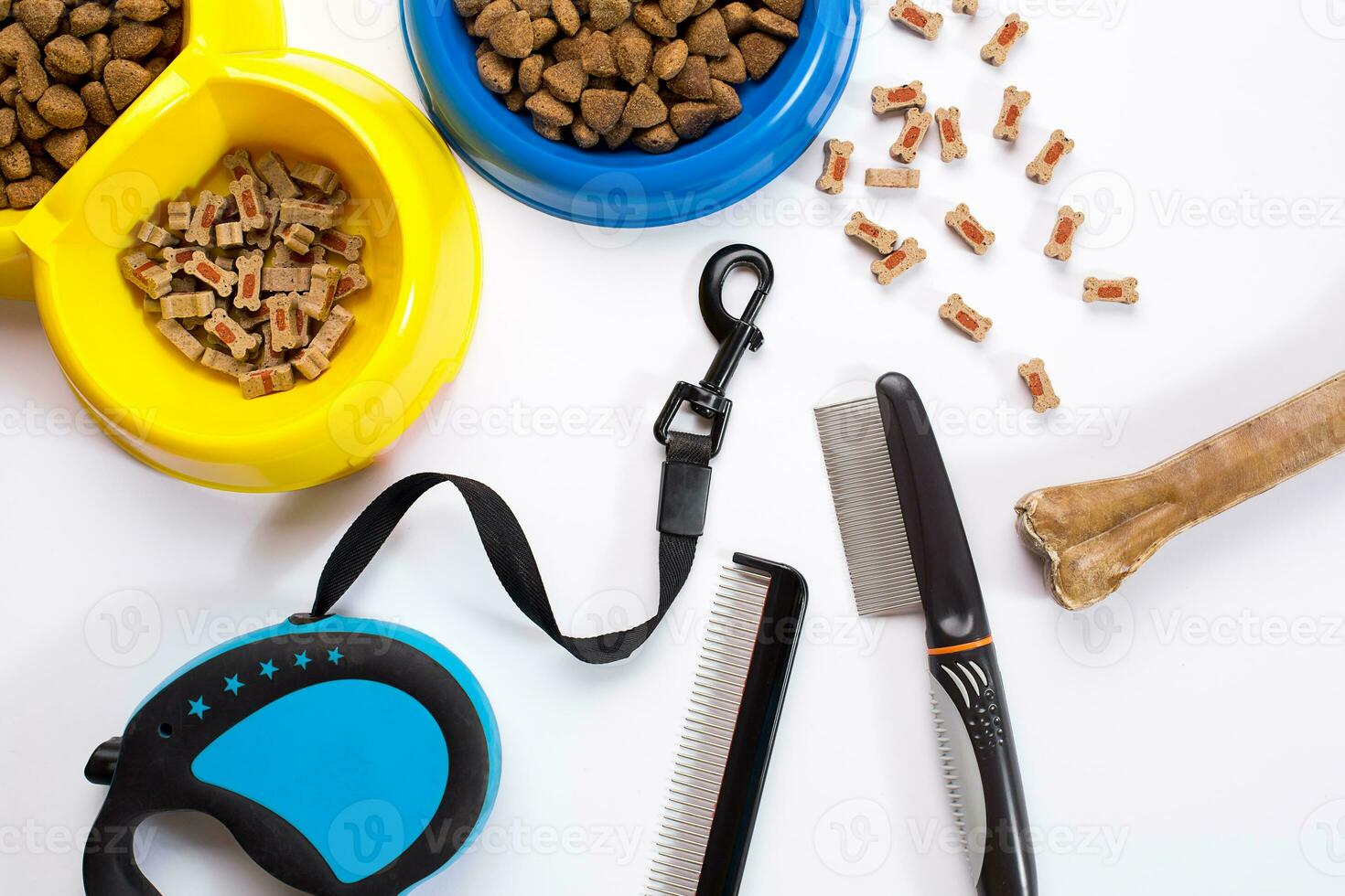 Collar, blue bowl with feed, leash, delicacy, combs and brushes for dogs. Isolated on white background photo