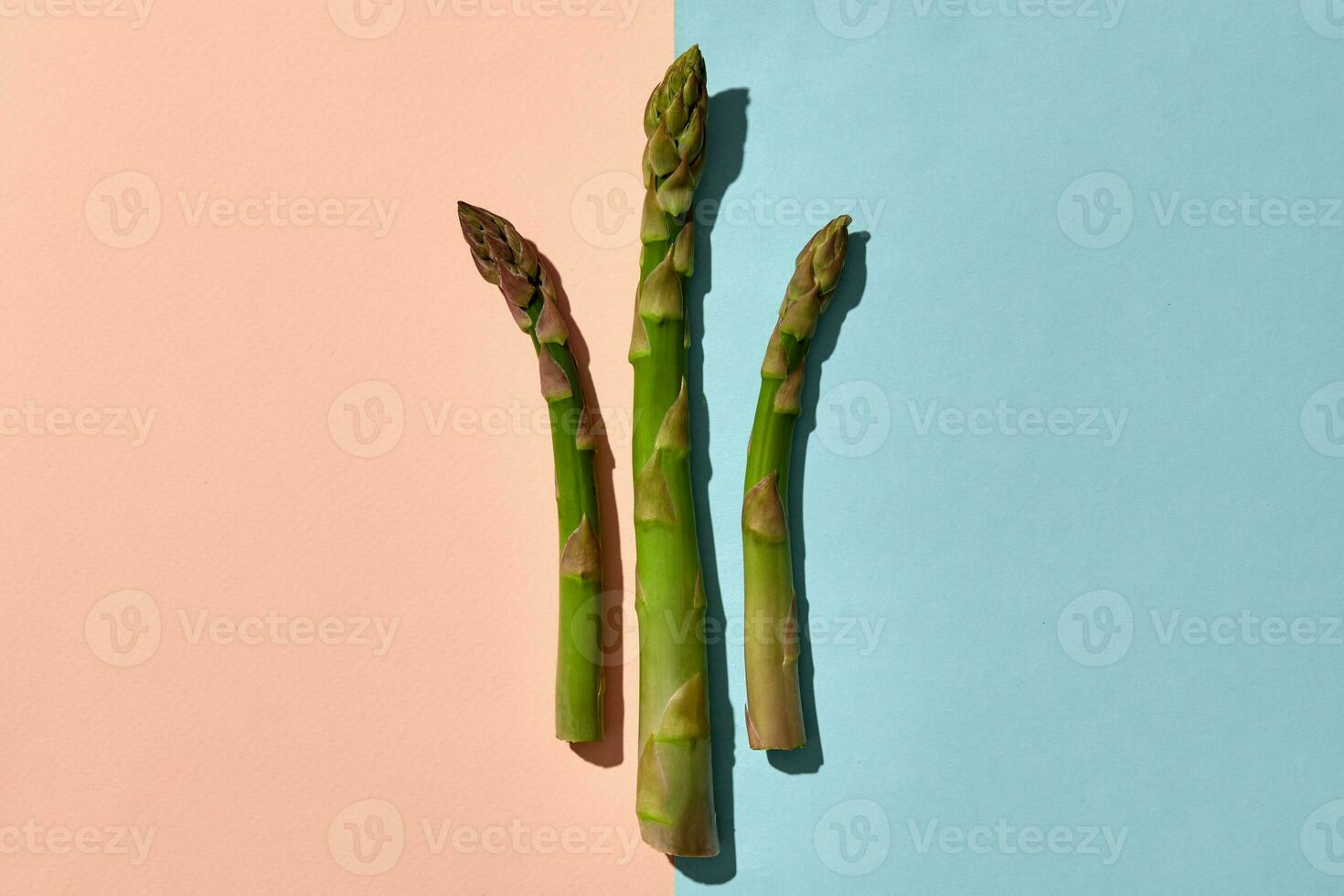Three fresh organic asparagus stems on pink and blue background