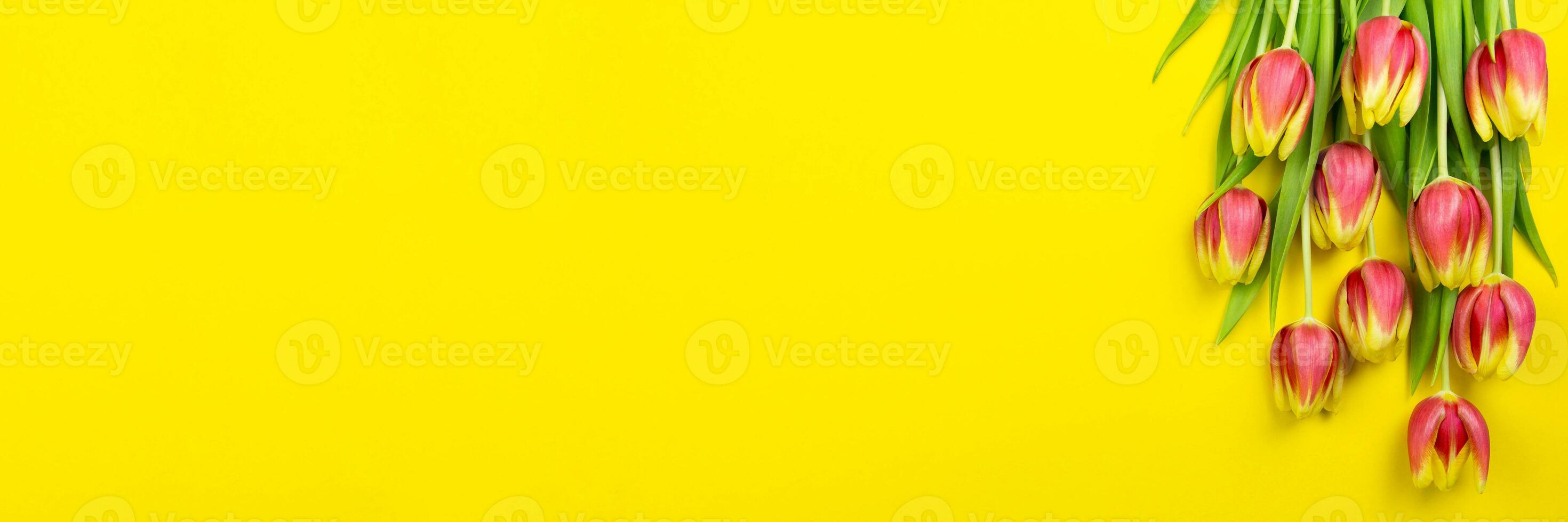 Red tulips flowers banner on yellow background. Valentine's, womens, mothers day, easter, birthday, wedding or spring holidays flat lay. Top view. Copy space. photo