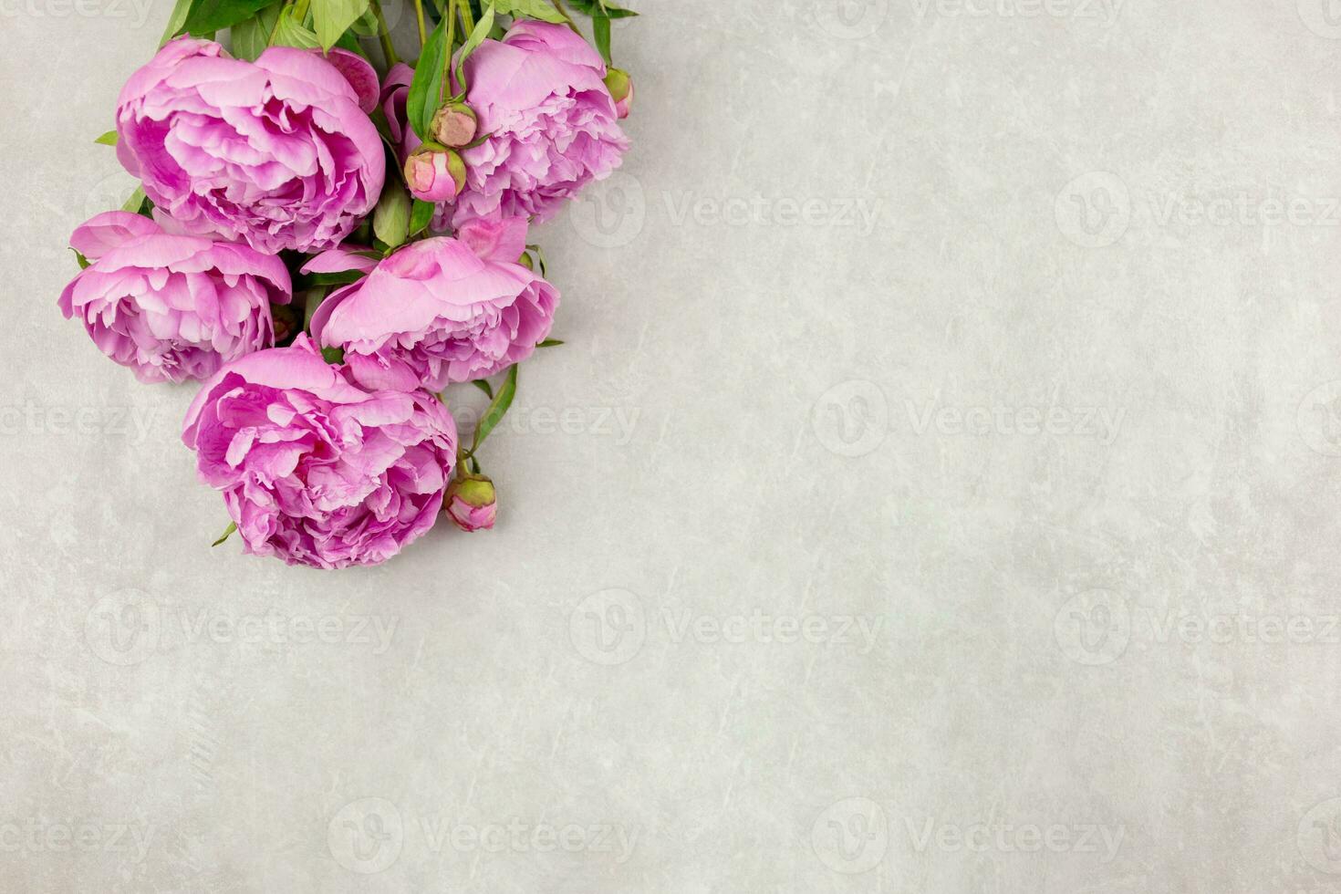 Pink peonies flowers on light gray concrete background. Valentine's, womens, mothers day, easter, birthday or wedding, spring holiday flat lay. Top view. Copy space. photo