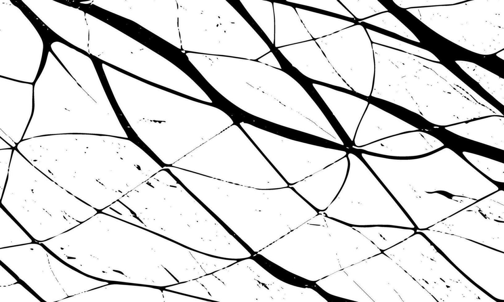 un negro y blanco imagen de un agrietado ventana vector