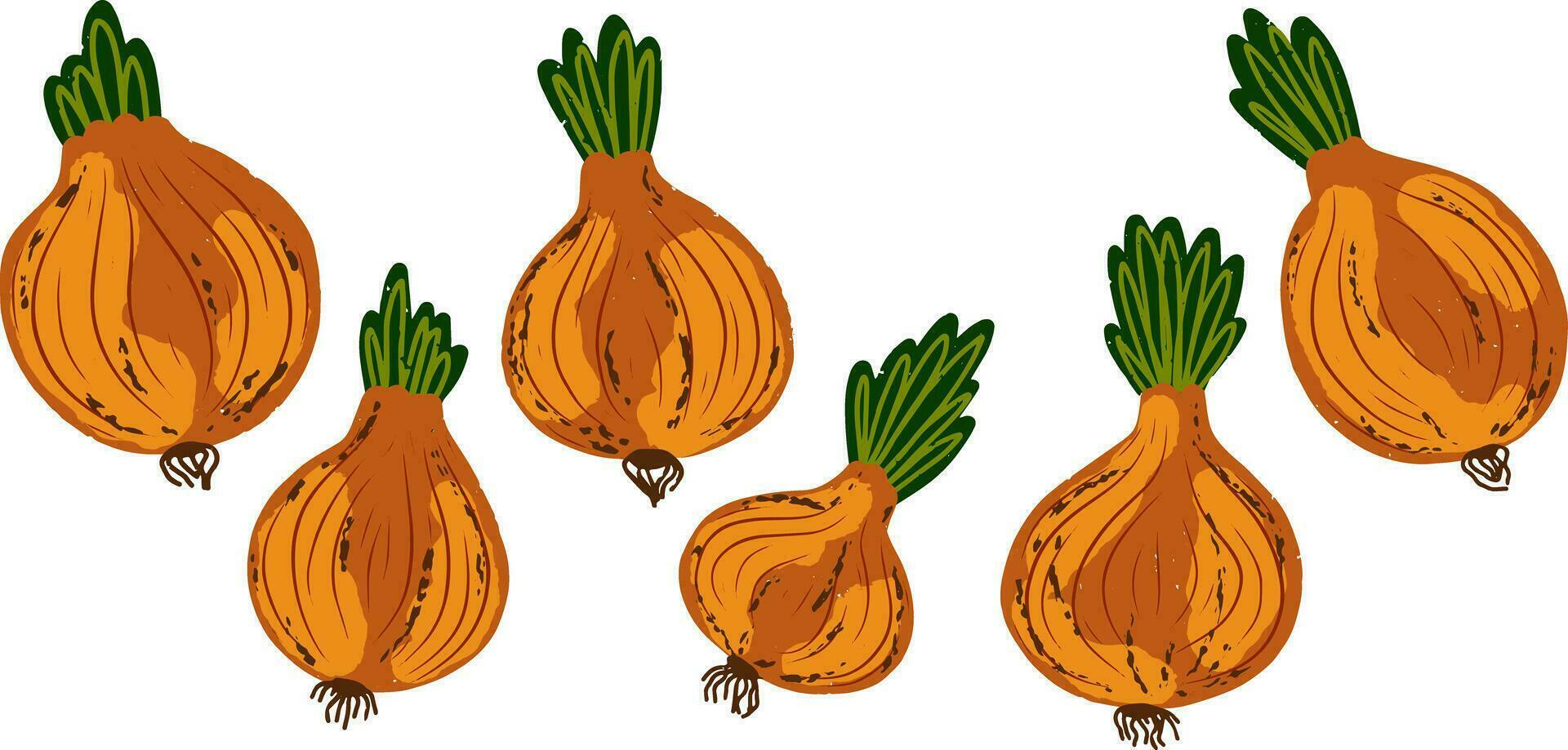 a group of onions with green leaves vector