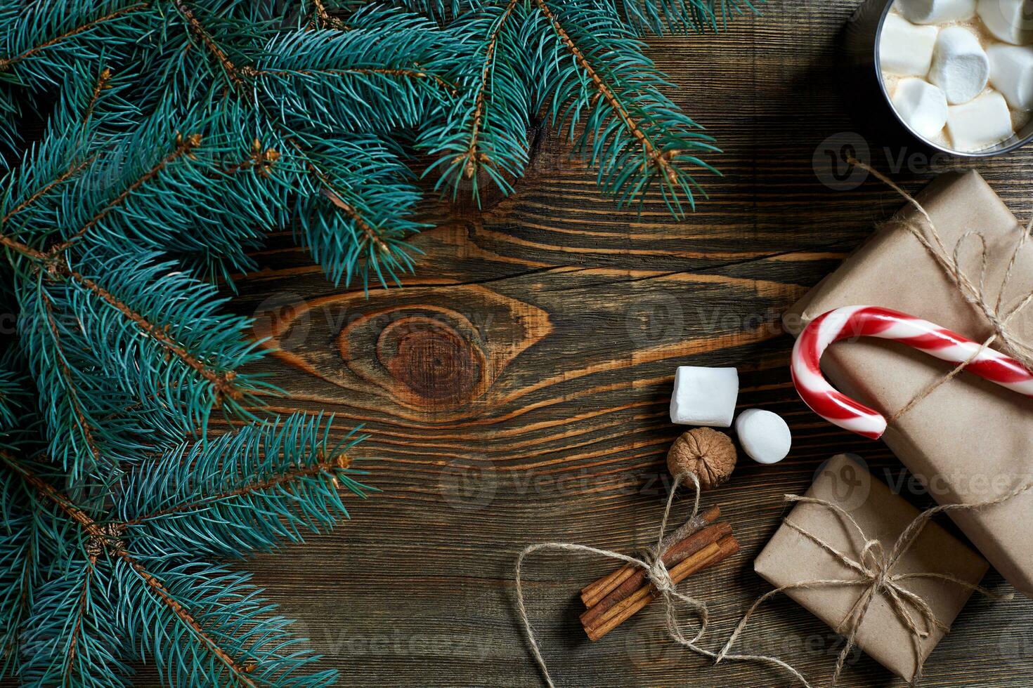 Cocoa with marshmallow, chocolate and spruce branches on a wooden background photo