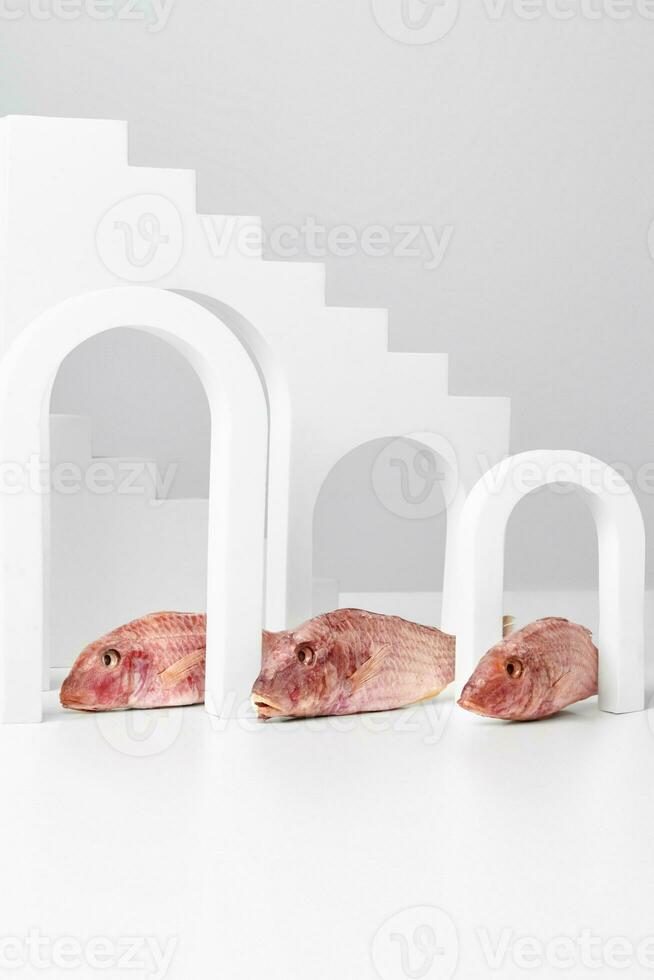 Air-dried red mullets lying between arches on gray background photo
