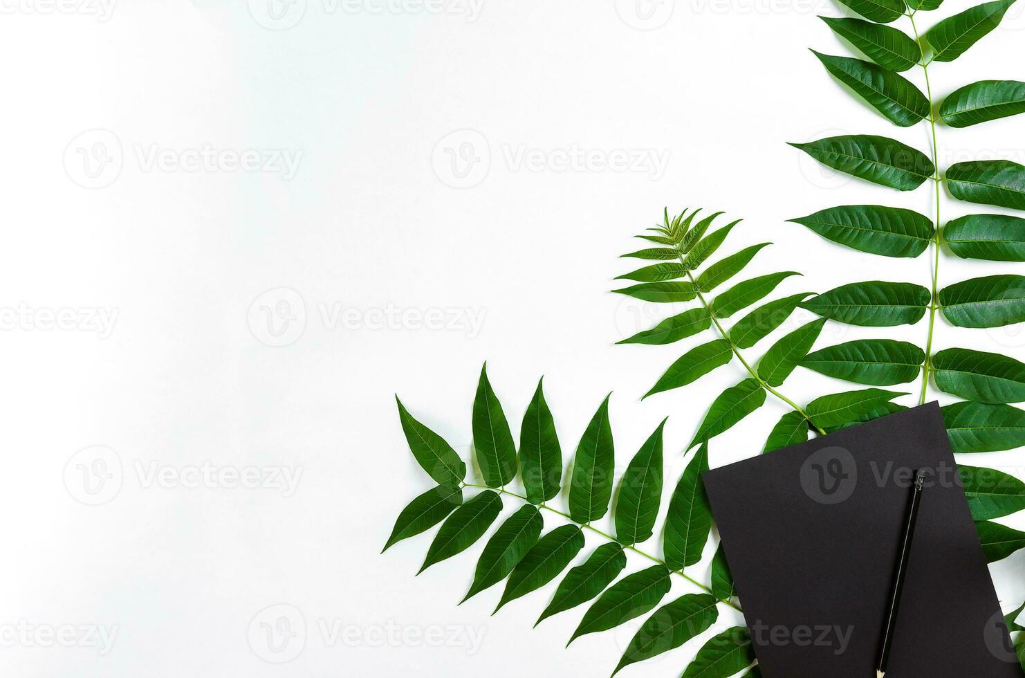 Natural composition with sketchbook and pencils on white table, decorated with green branches. Flat lay, top view, view from above photo