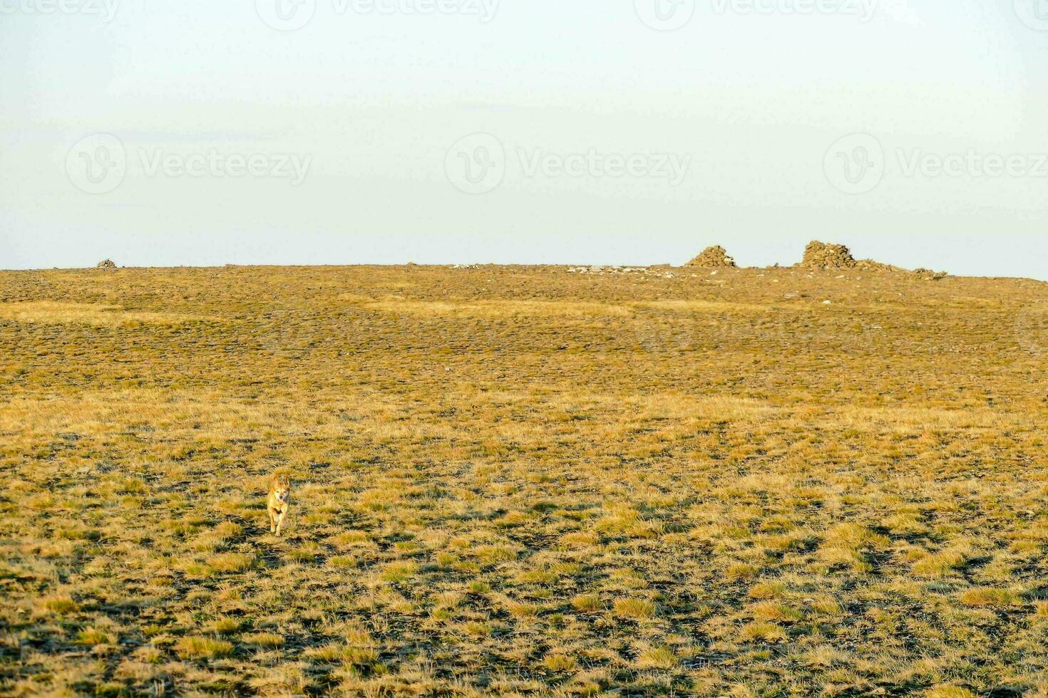 Scenic rural view photo