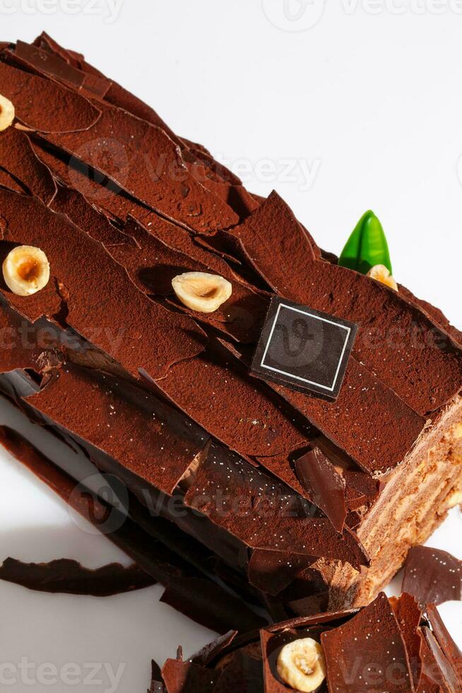 Festive Yule log with chocolate shavings, cocoa and hazelnuts photo