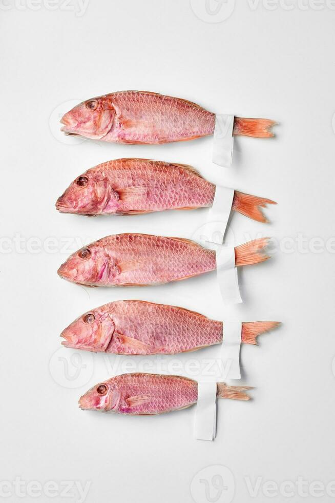 Five air-dried red mullets with labels on tails on white background photo