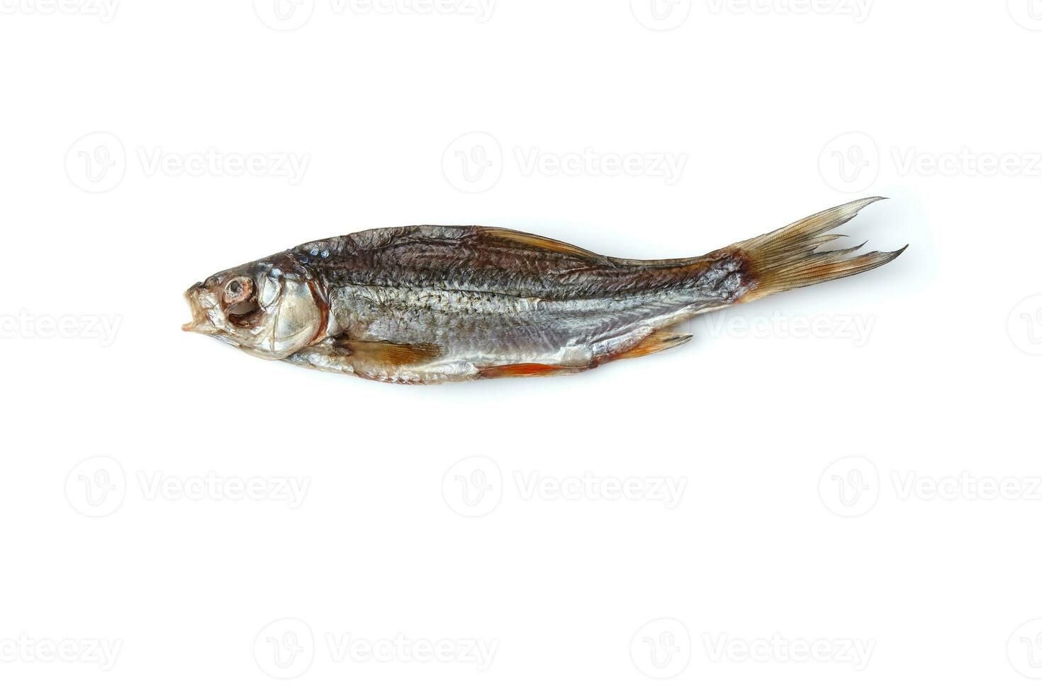 Dried or jerky salted roach, palatable clipfish isolated on white background. Salty beer appetizer. Traditional way of preserving fish. Close up photo