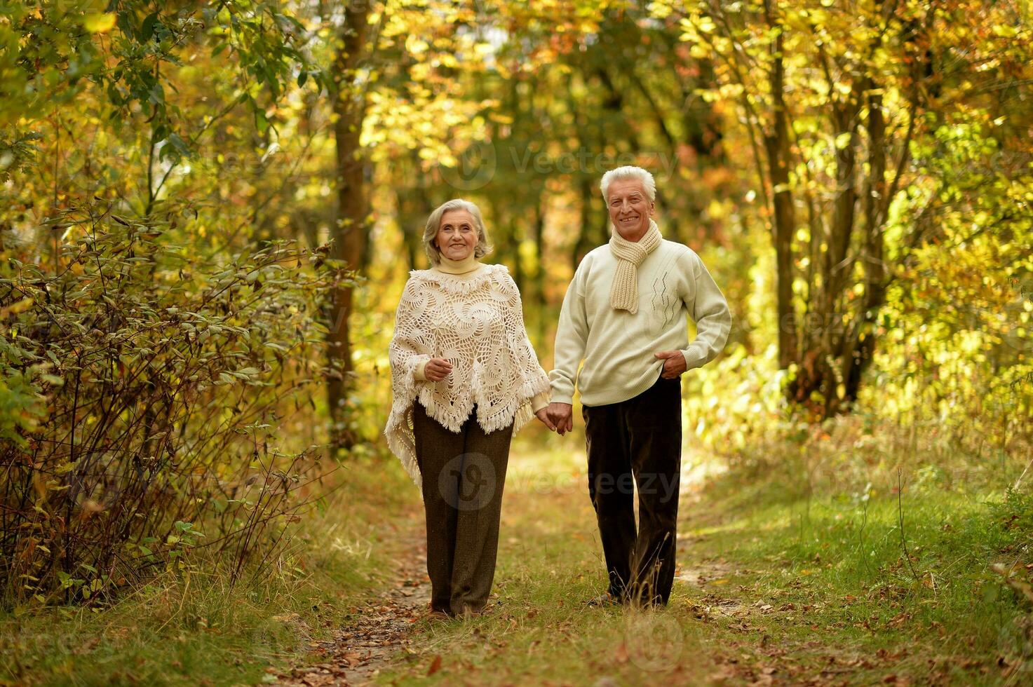 Elderly couple dance in the park in autumn. photo