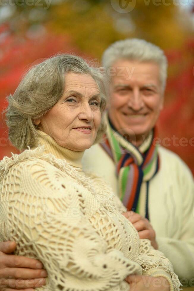 Close up portrait of beautiful senior couple relaxing in park photo