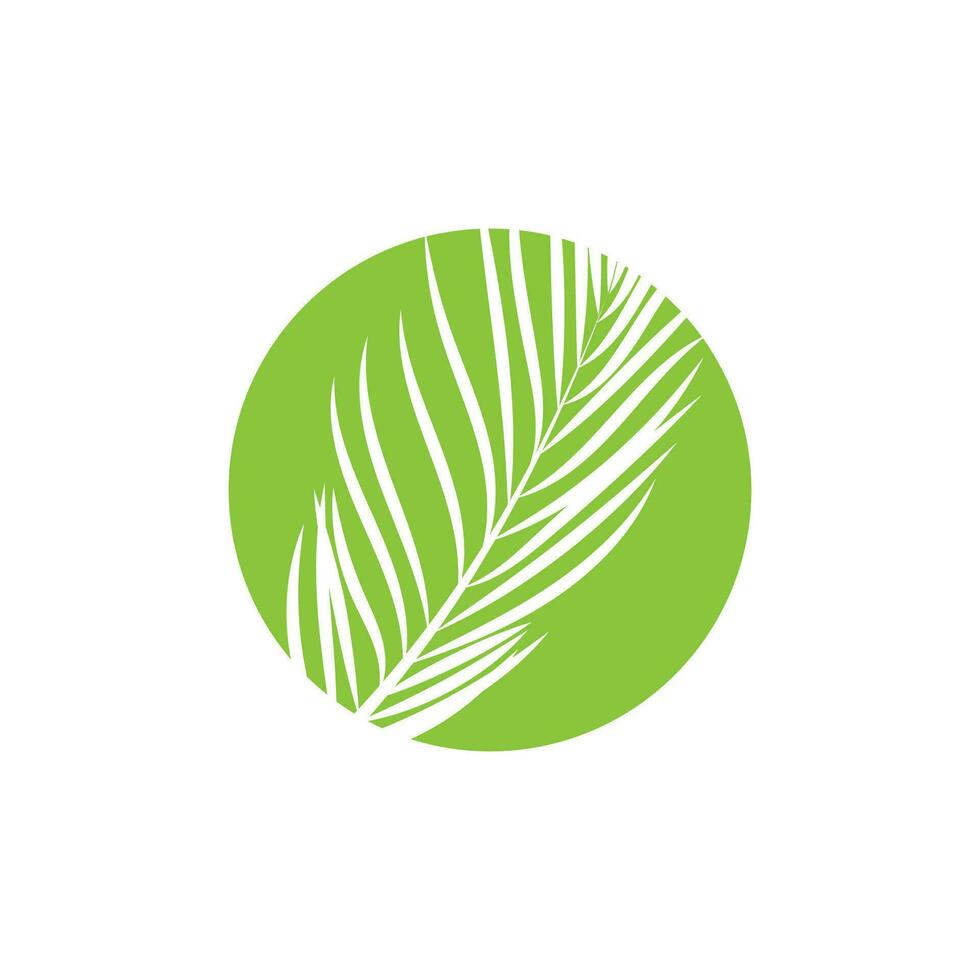 Leaf palm logo vector template symbol and design