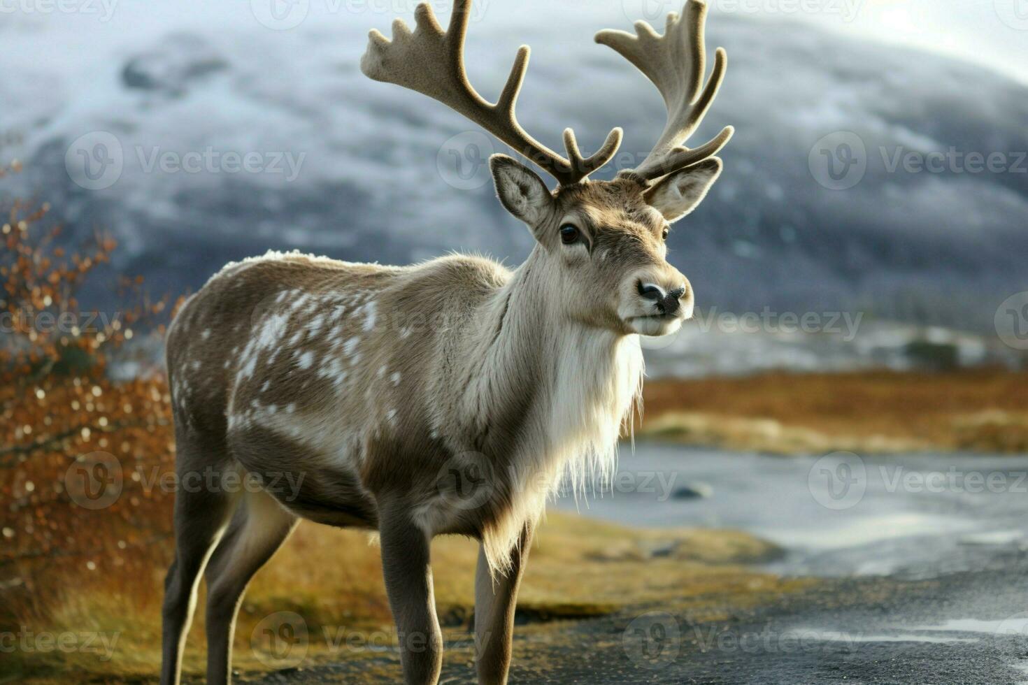 AI generated Reindeer in the spring embodying renewal and nature's seasonal beauty AI Generated photo