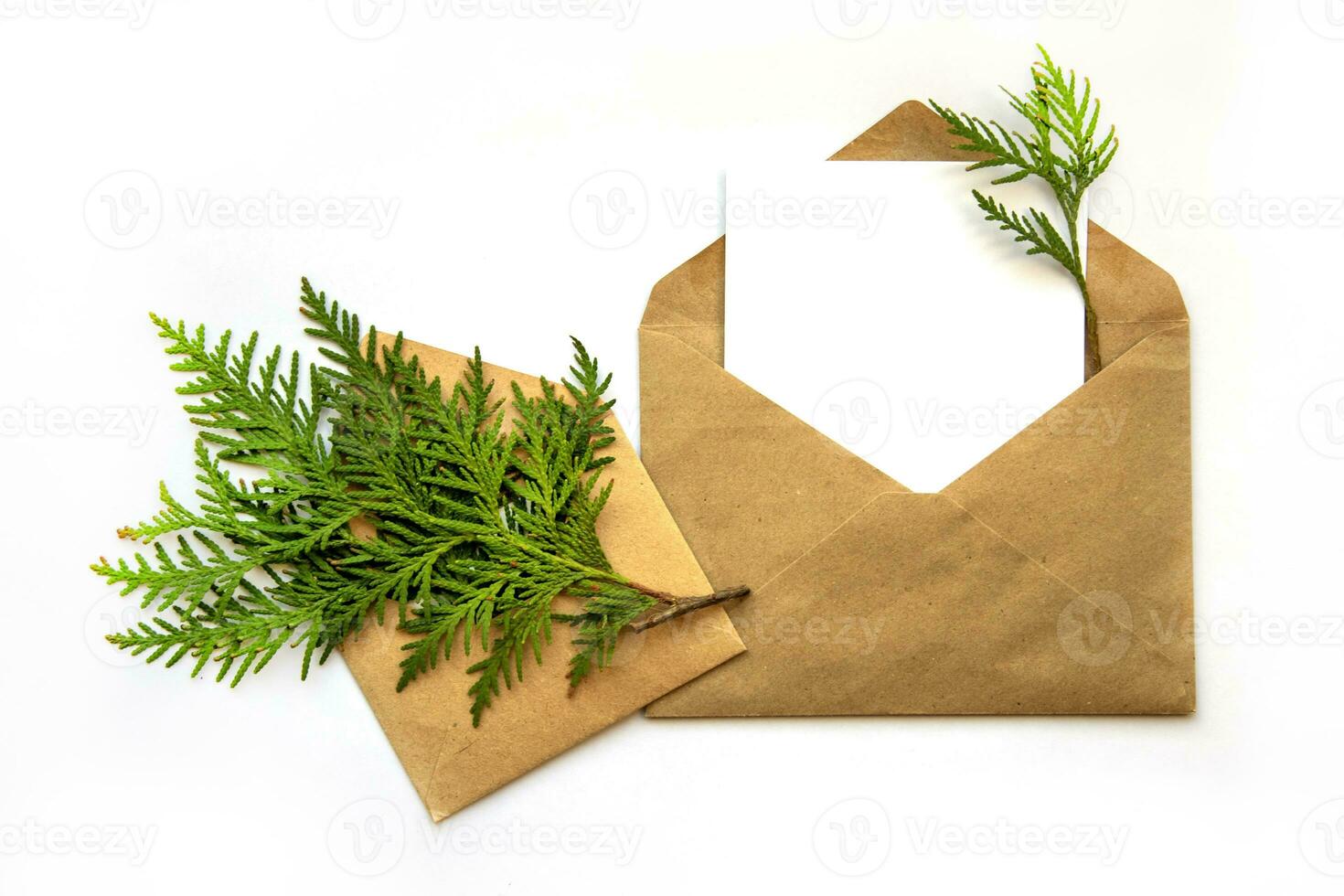 Minimalistic greeting card layout with evergreen coniferous branch. Craft envelope, flat lay, close-up. photo
