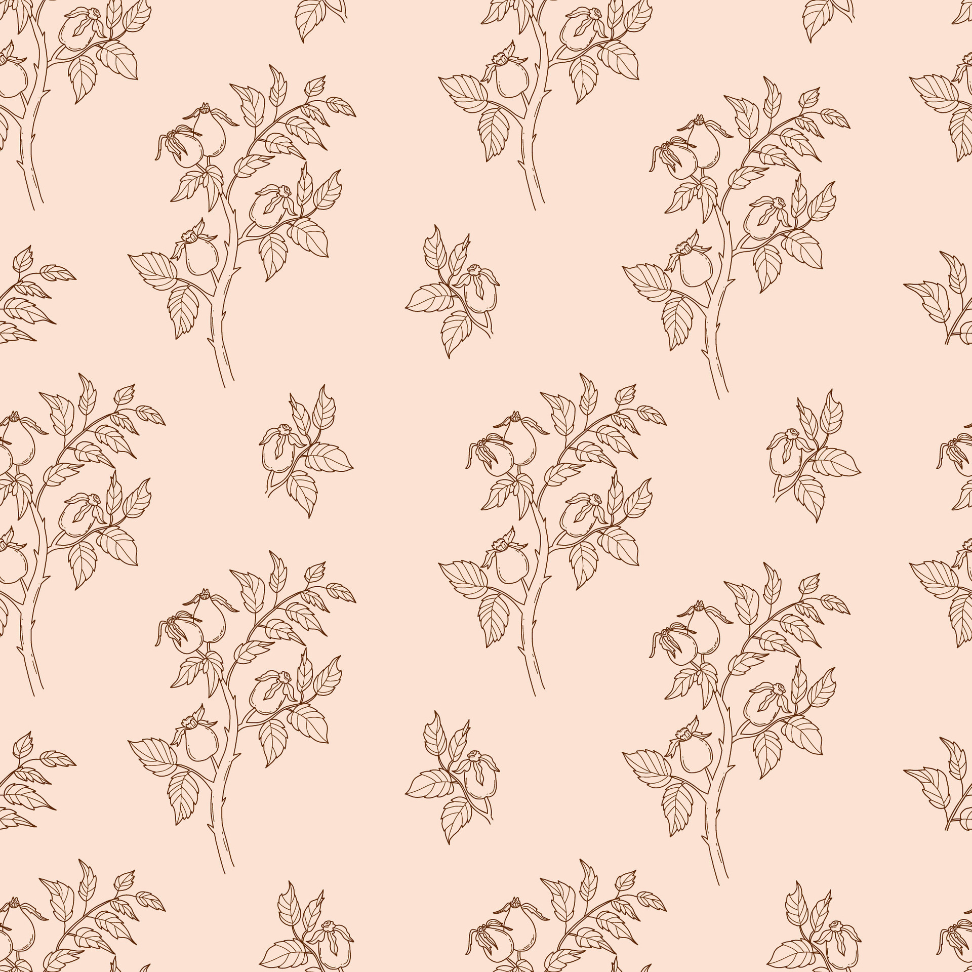 outline seamless pattern Rosehip branch with berries and leaves on