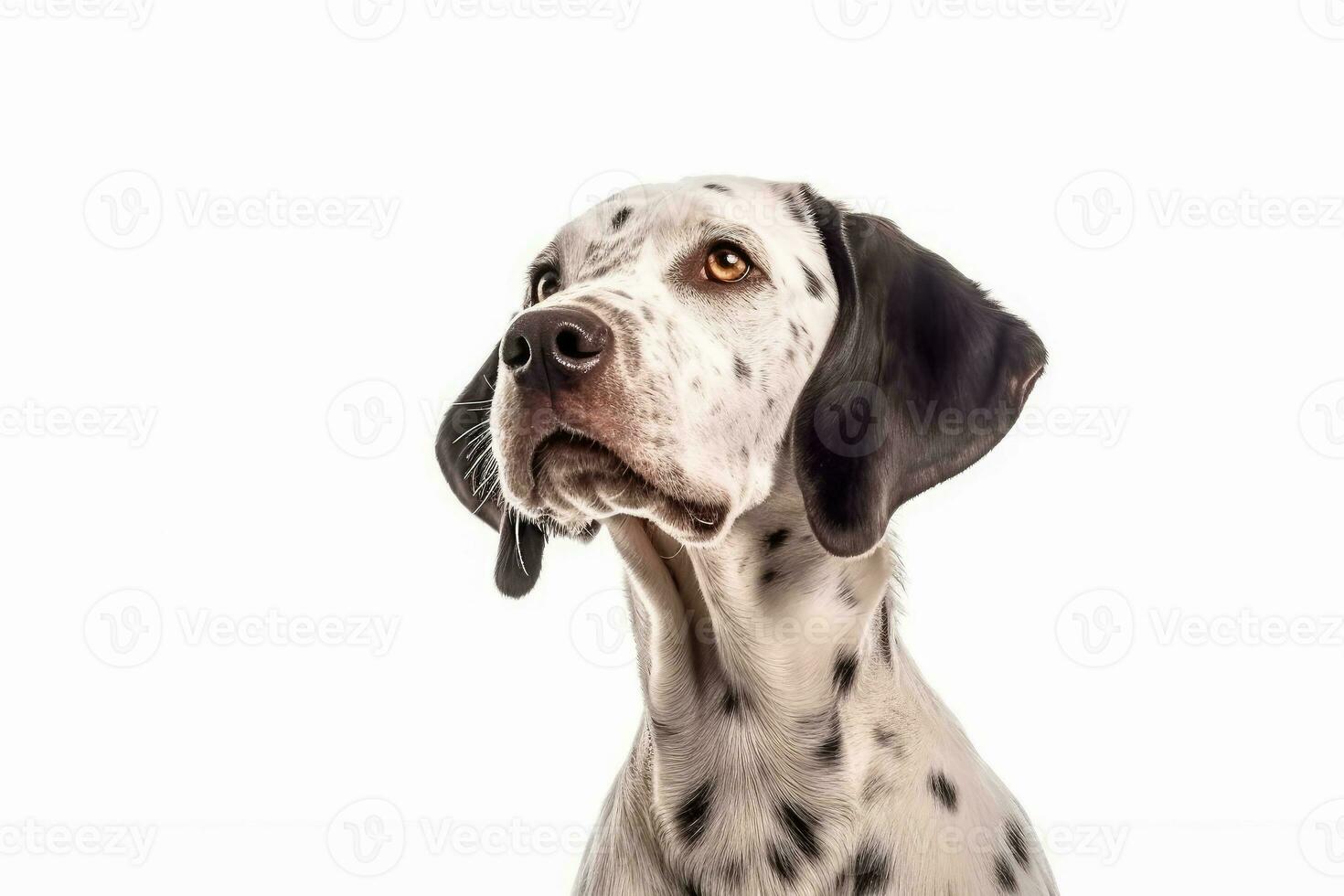 AI generated Portrait of handsome young dog isolated on white background, Ai generative photo