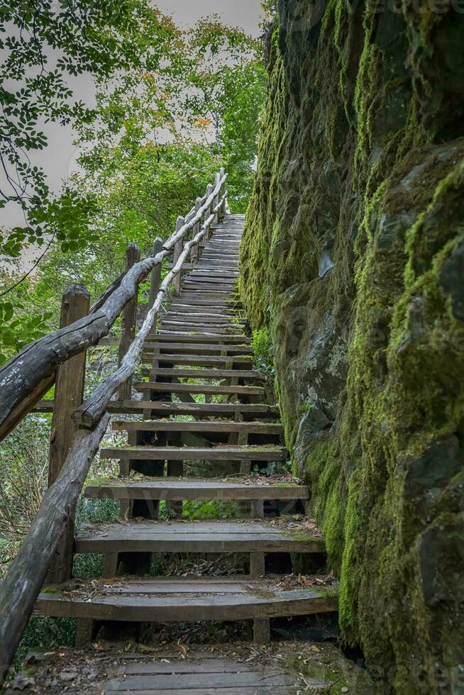 A wooden stair going up to the hill in the forest, Ecopath White River, near Kalofer, Bulgaria. photo