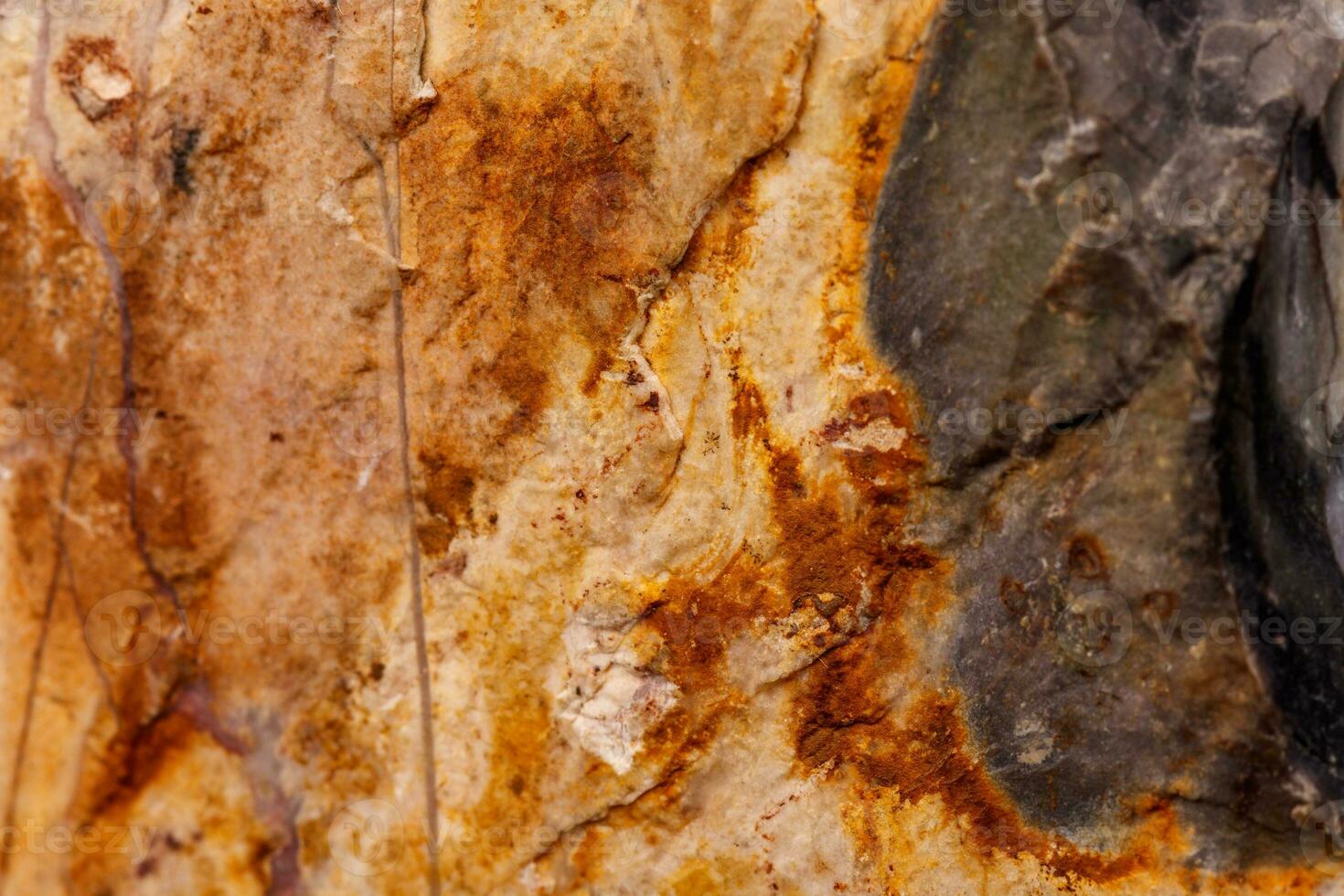 Macro mineral stone Agate on a black background photo