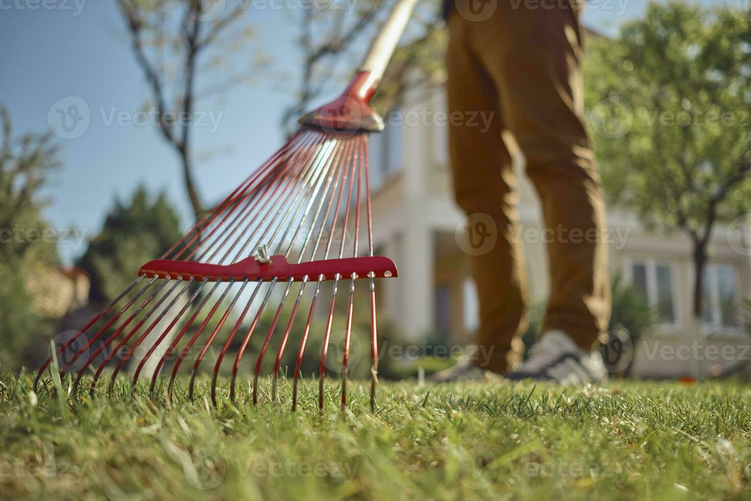 desconocido joven hombre en casual ropa es utilizando rojo jardín rastrillo en un césped de su patio interior. útil herramienta de moderno jardinero. soleado día. cerca arriba foto