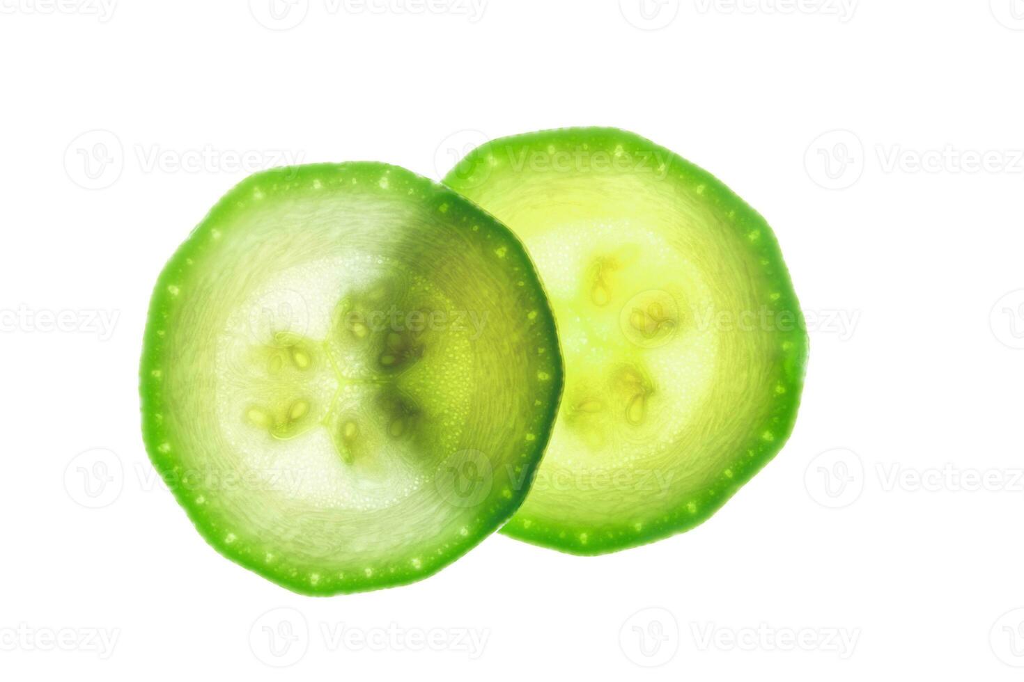 Two slice of zucchini isolated on white photo