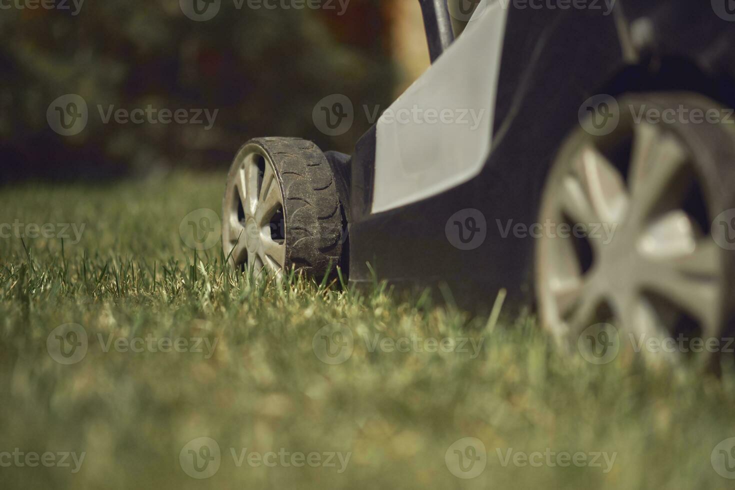 Professional lawn mower cutting grass on courtyard. Garden care equipment. Sunny day, close up photo