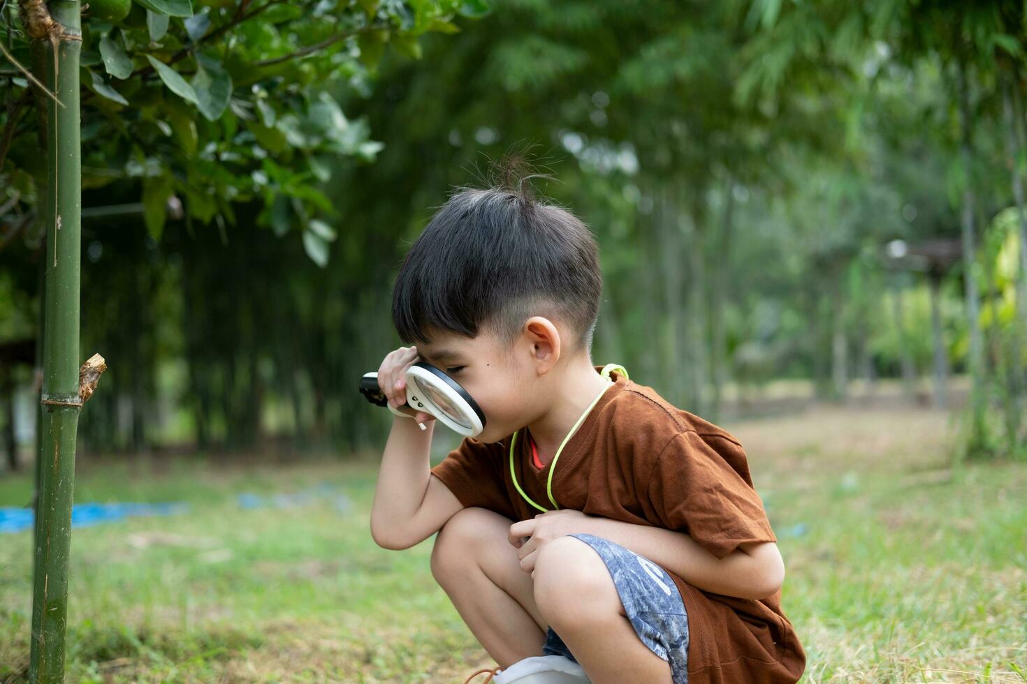 Asian boy uses a magnifying glass to survey the area around the tree. photo