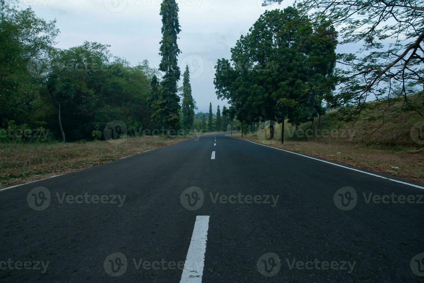 Derecho la carretera cuesta arriba Entre el bosque foto