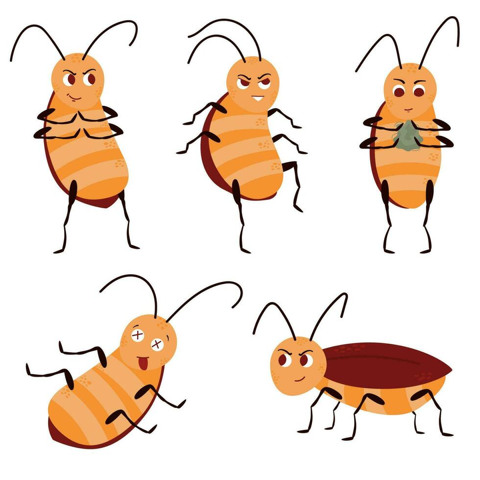 conjunto de linda caracteres. cucaracha. aislado en un blanco antecedentes. parásito. vector ilustración en moderno estilo.